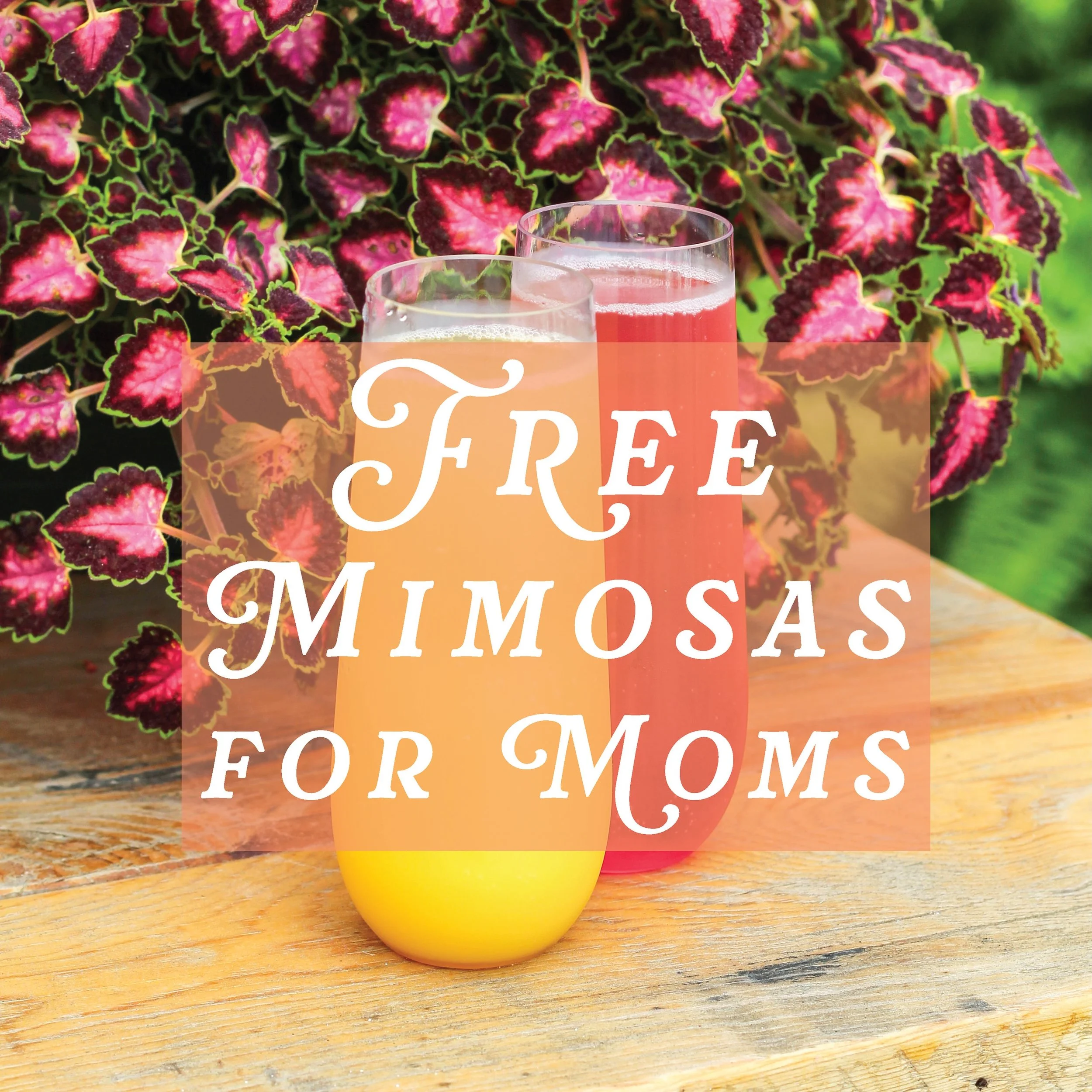 Moms get a FREE mimosa THIS Saturday 🥂💐

We&rsquo;re excited to celebrate Mother&rsquo;s Day with you and offer a few special sales throughout the store as well!
Saturday ONLY:
- 10% OFF gift cards 
- $5 OFF any @ambreblends 
- 20% off @37woodfired