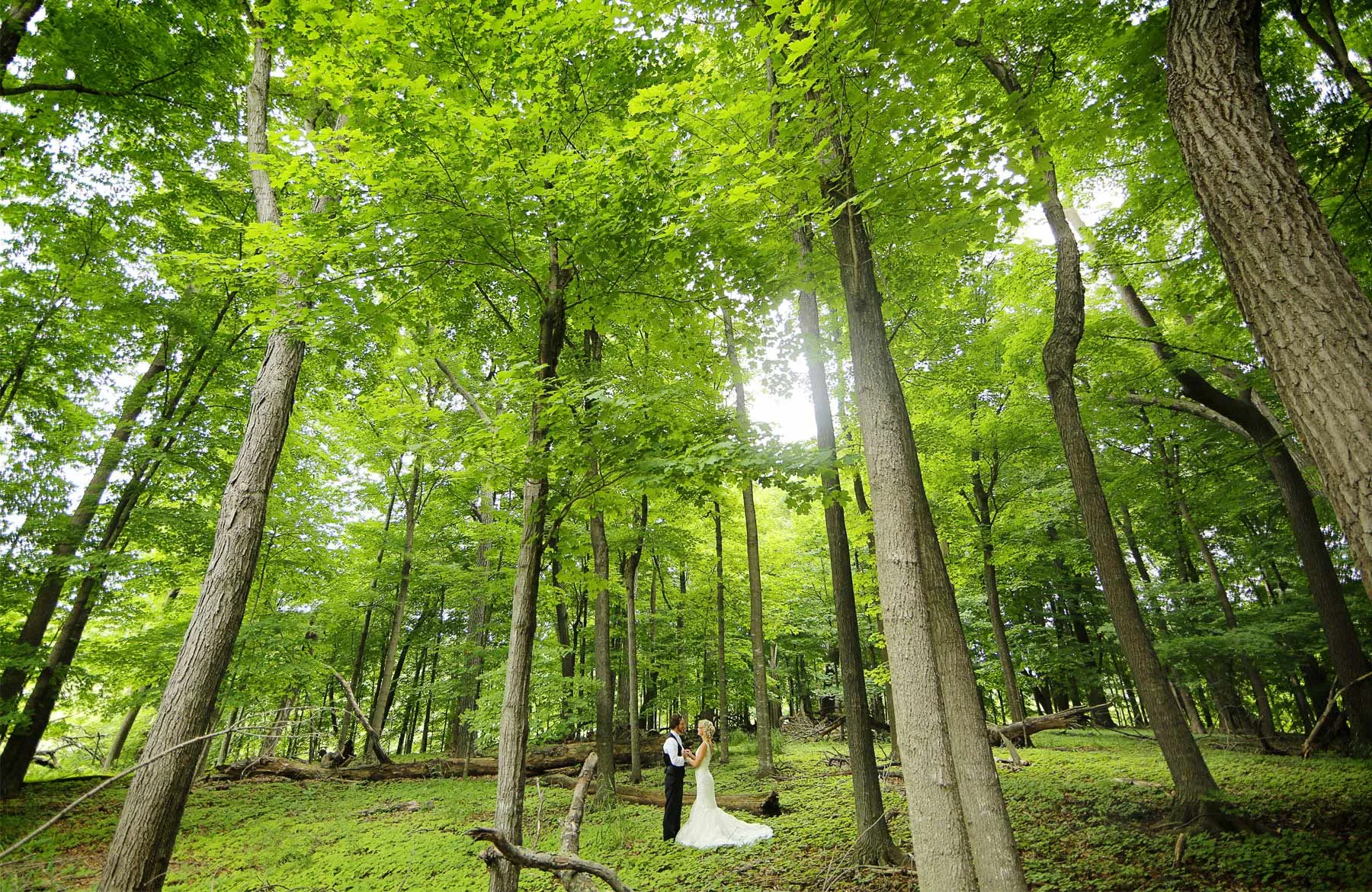06-Minneapols-Minnesota-Wedding-Photography-by-Vick-Photography-Westwood-Church-Minnetonka-First-Look-Forest-Rustic-Gretchen-&-Peter.jpg