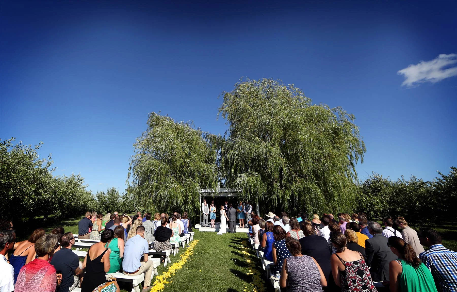 11-Minneapolis-Minnesota-Wedding-Photography-by-Vick-Photography-Minnesota-Harvest-Apple-Orchard-Ceremony-Emilie-&-Giovanni.jpg