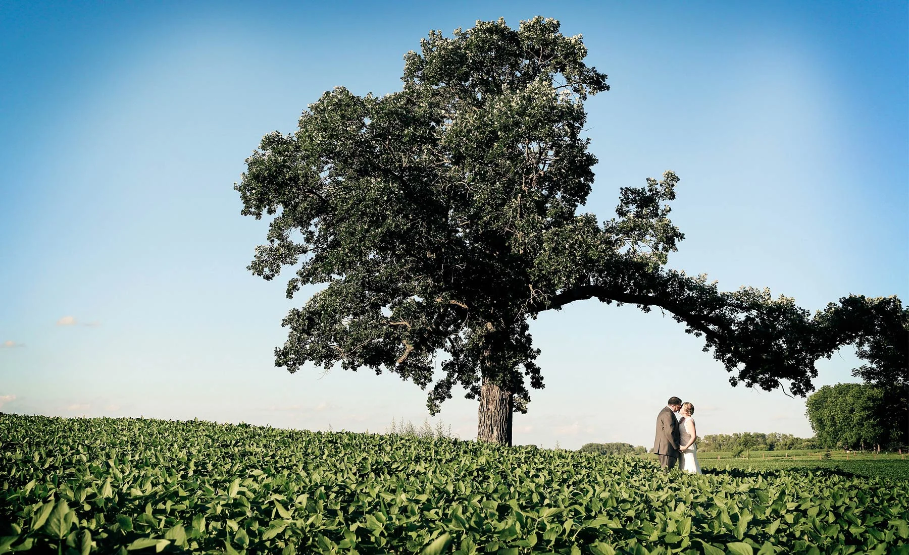 15-Minneapolis-Minnesota-Wedding-Photography-by-Vick-Photography-Minnesota-Harvest-Apple-Orchard-Emilie-&-Giovanni.jpg