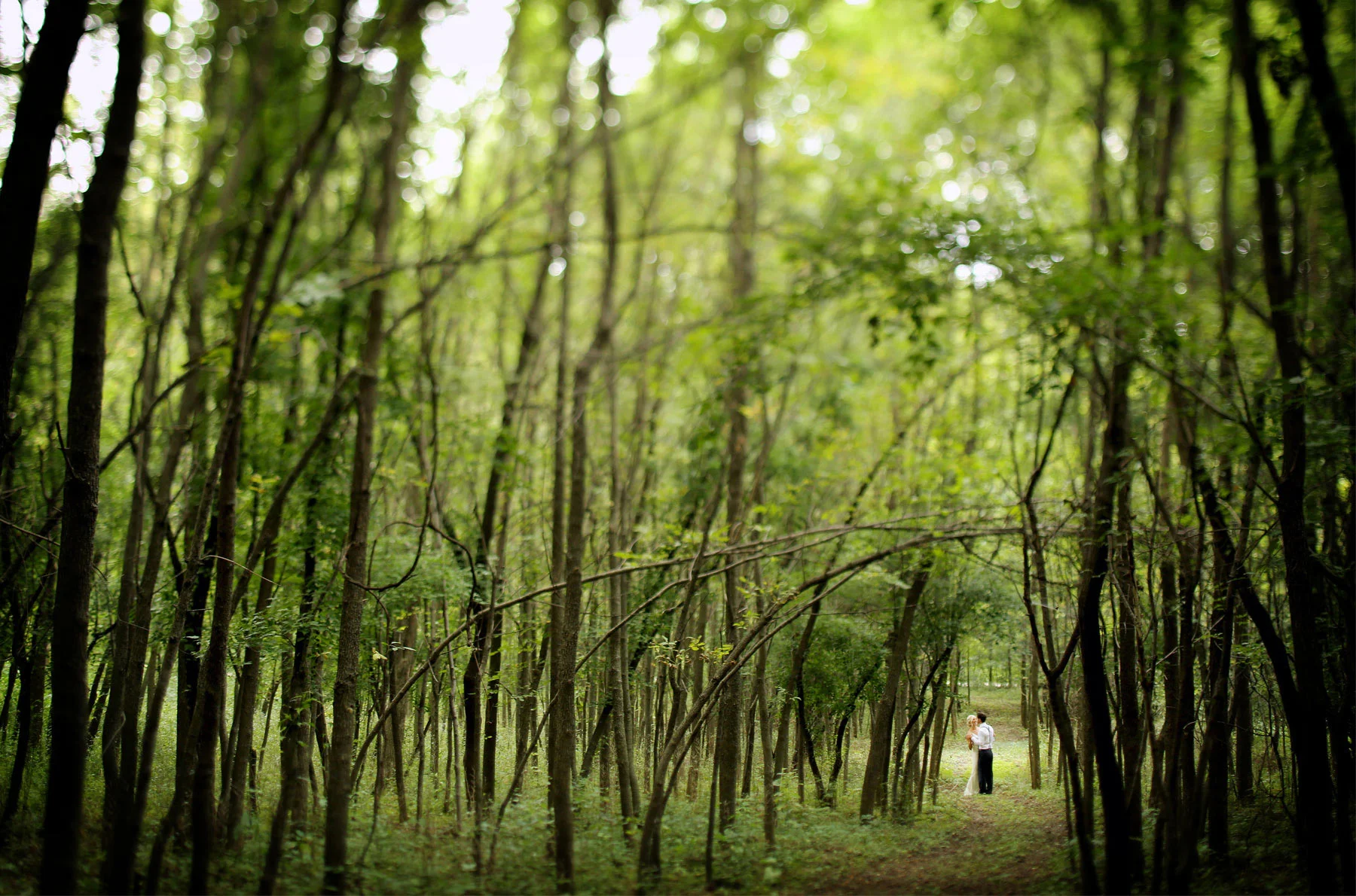 07-Stillwater-Minnesota-Wedding-Photography-by-Vick-Photography-Camrose-Hill-Outdoor-Woods-Rustic-First-Look-Tina-&-Eric.jpg