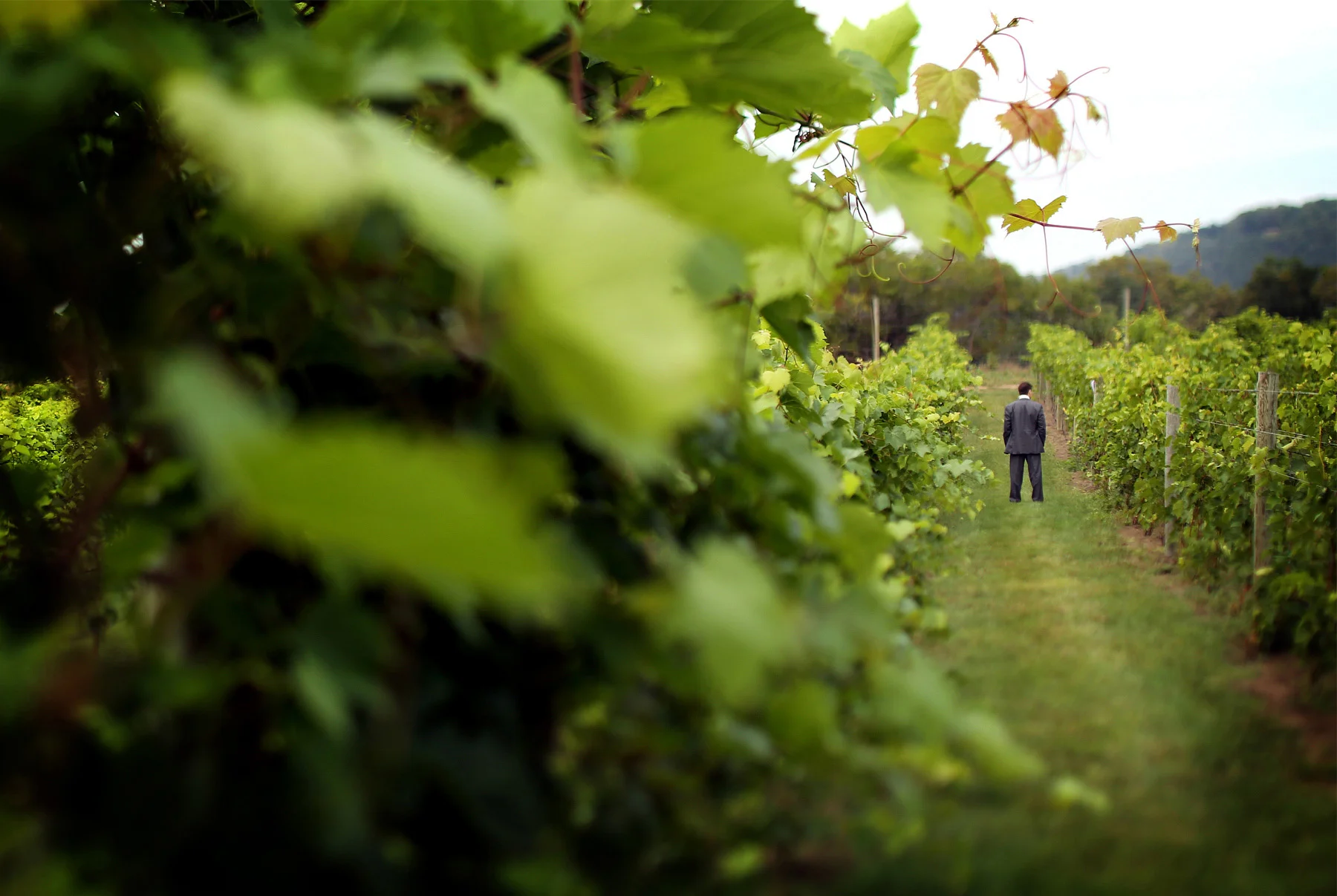 01-Lake-Pepin-Wisconsin-Wedding-Photography-by-Vick-Photography-Villa-Bellezza-Vineyard-Winery-Groom-Emily-&-Sam.jpg