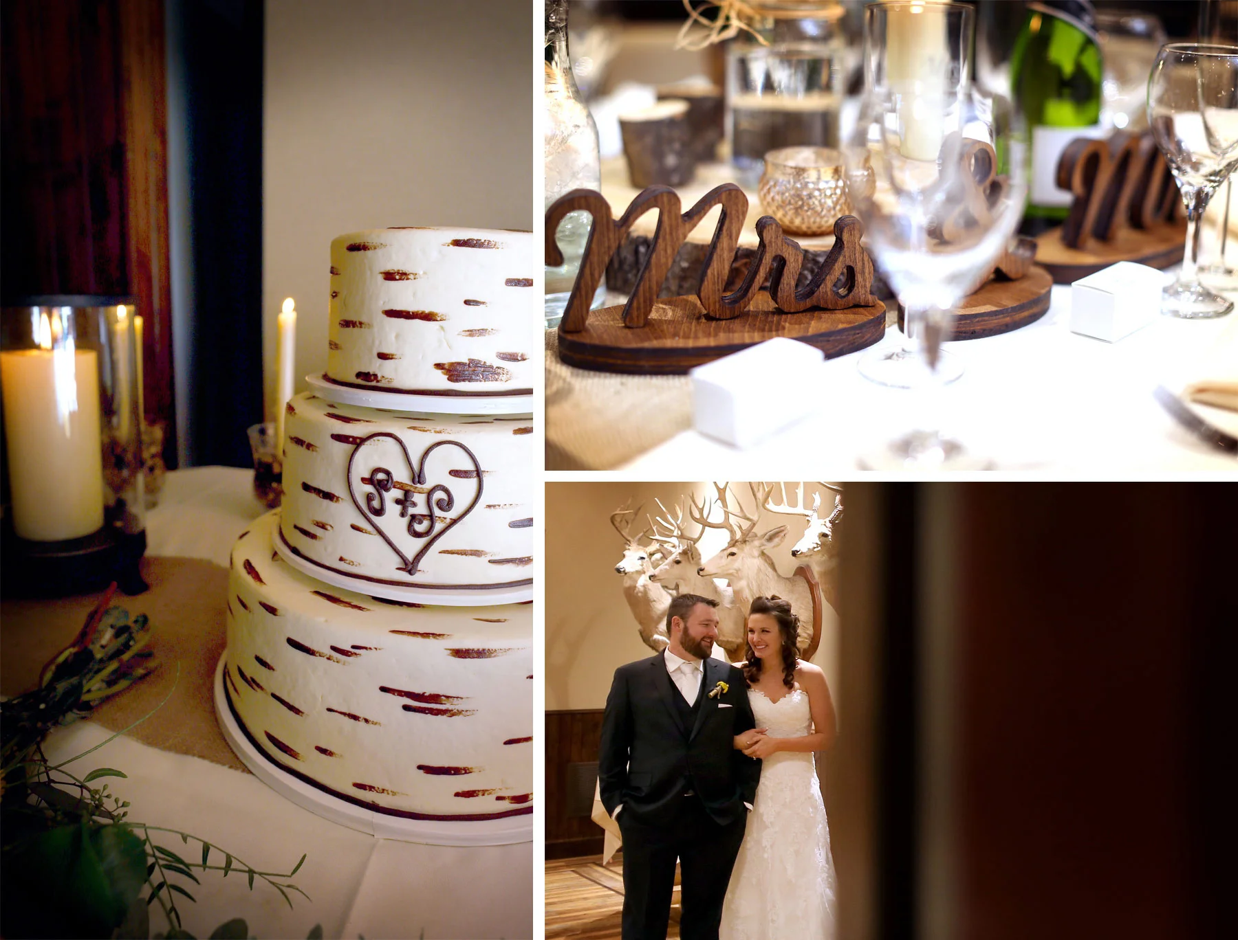 13-Minneapolis-Minnesota-Wedding-Photography-by-Vick-Photography-Prior-Lake-Horse-and-Hunt-Club-Rustic-Birch-Cake-Reception-Night-Sarah-and-Steve.jpg