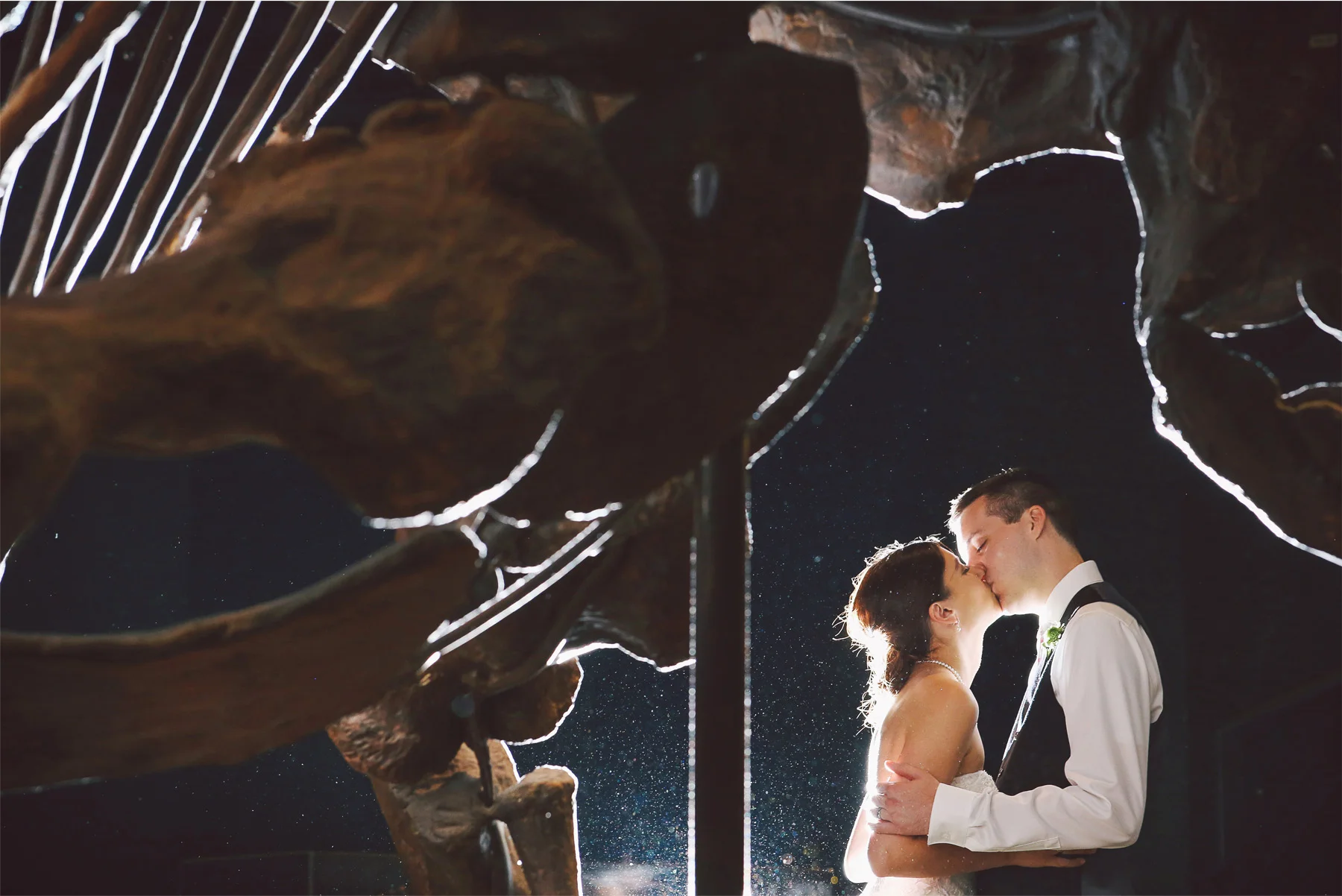 18-St-Paul-Minnesota-Wedding-Photography-by-Vick-Photography-Science-Museum-Dinosaur-Wedding-Dino-Bones-Night-Photography-Stephanie-and-Scott.jpg
