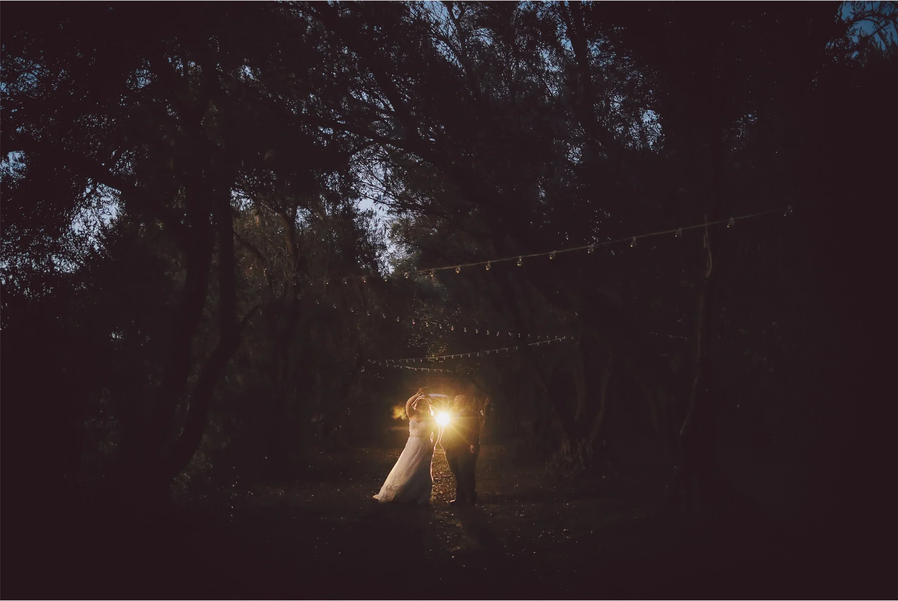 20-Los-Angeles-California-Wedding-Photographer-by-Vick-Photography-Highland-Springs-Ranch-LGBT-Night-Photography-Trees-Rebecca-and-Terri.jpg