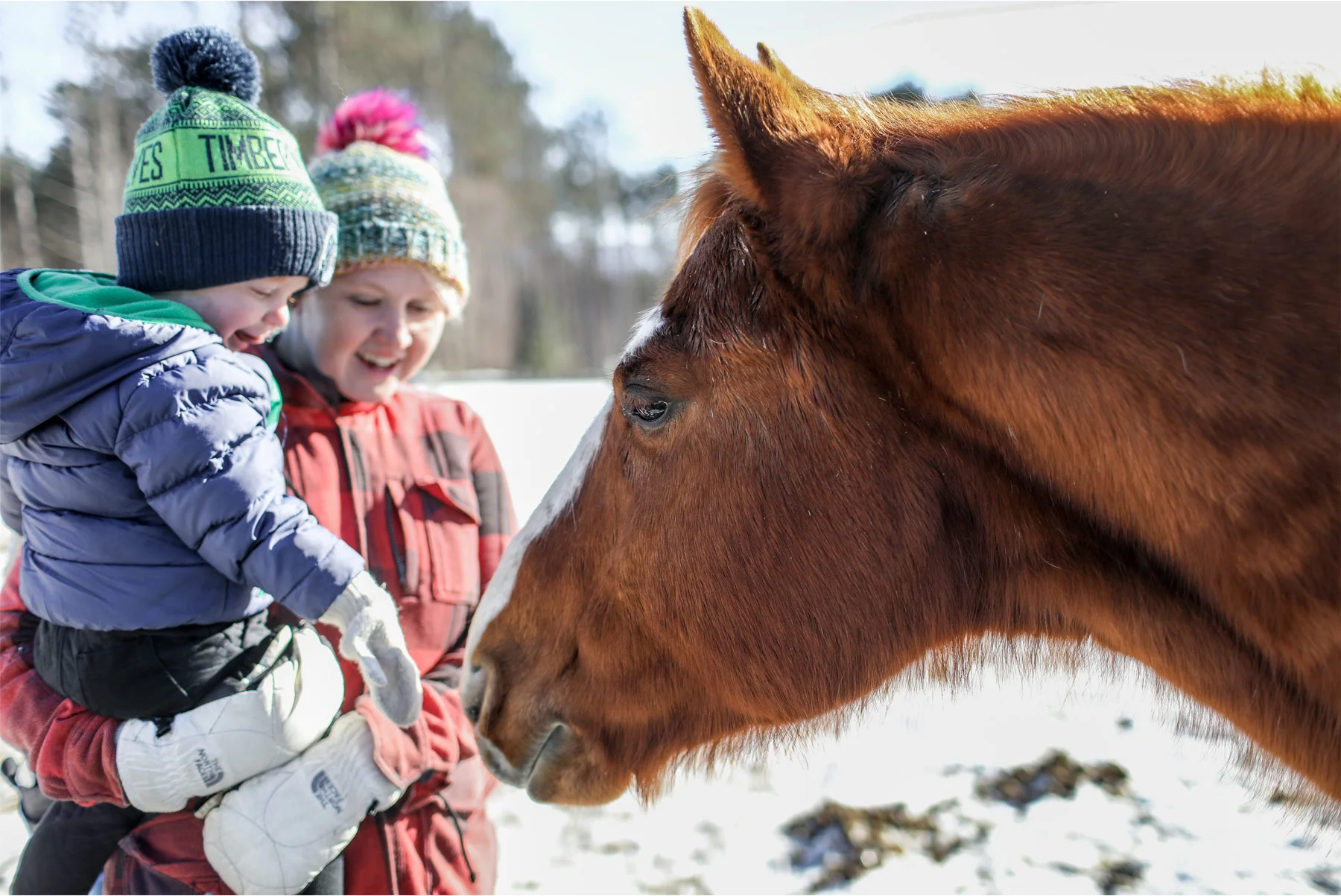 17-Stowe-Vermont-by-Andrew-Vick-Photography-Edson-Hill-Winter-Lodge-Horses.jpg