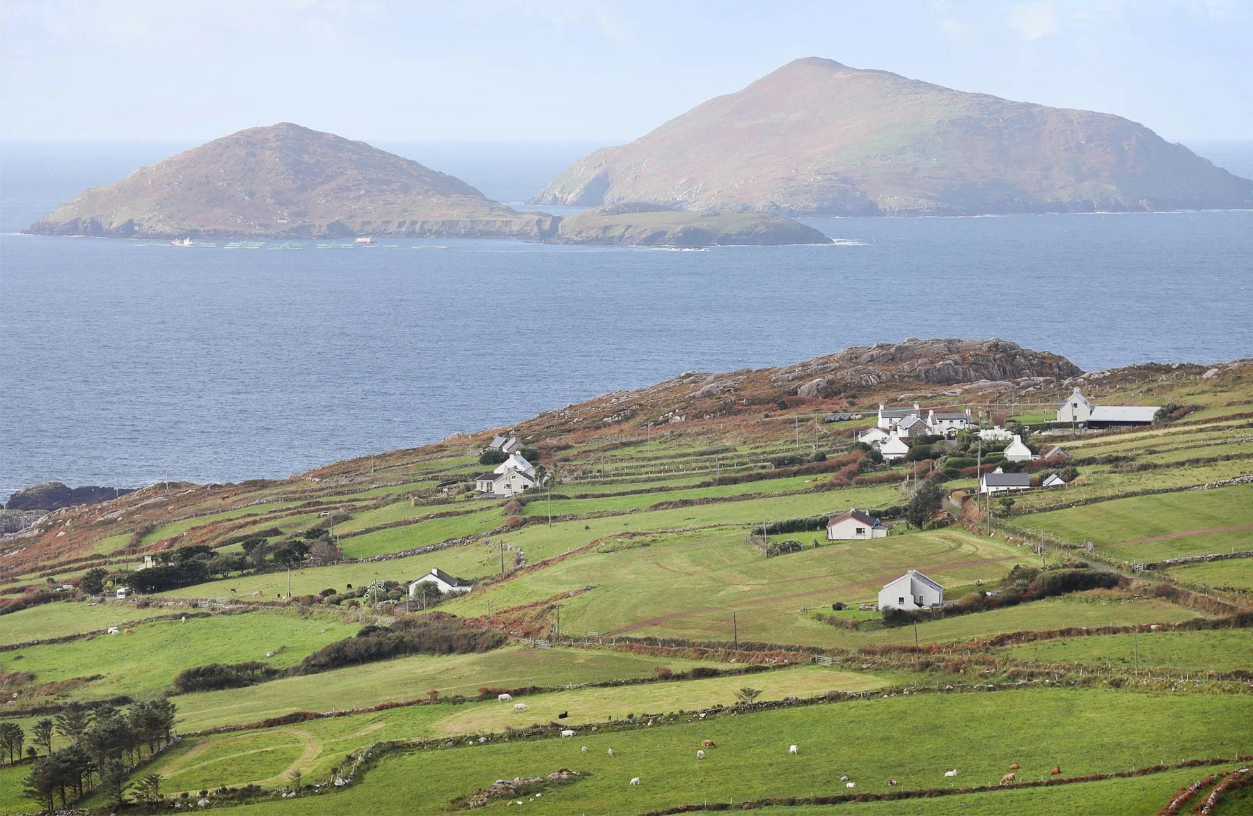03-Kilarney-Ireland-Wedding-Photographer-by-Andrew-Vick-Photography-Fall-Autumn-Destination-Landscape-Countryside-Village-Ocean-Becca-and-Donal.jpg