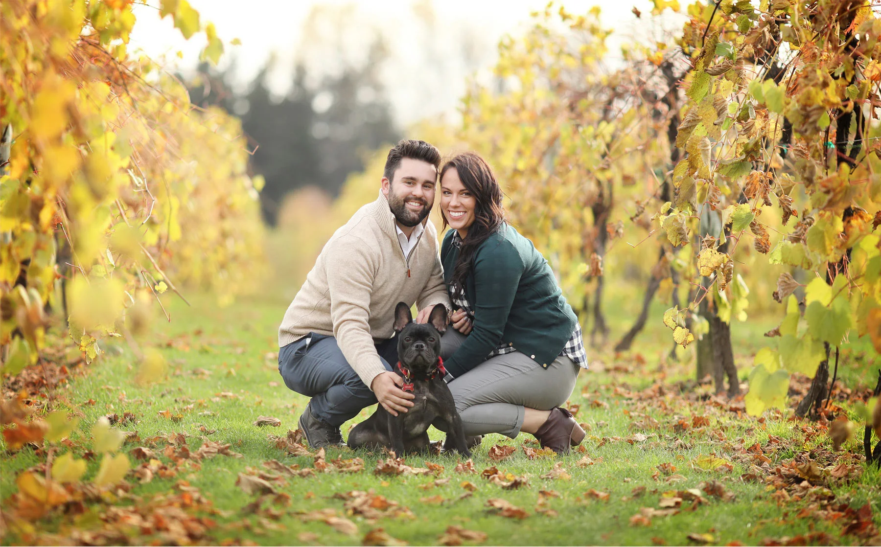 01-Stillwater-Minnesota-Wedding-Photographer-by-Andrew-Vick-Photography-Fall-Autumn-Engagement-Bride-Groom-Apple-Orchard-Vineyard-Dog-Vintage-Gillian-and-Nick.jpg