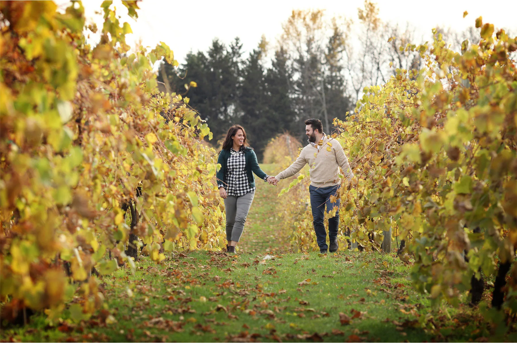 05-Stillwater-Minnesota-Wedding-Photographer-by-Andrew-Vick-Photography-Fall-Autumn-Engagement-Bride-Groom-Apple-Orchard-Vineyard-Hand-Holding-Vintage-Gillian-and-Nick.jpg