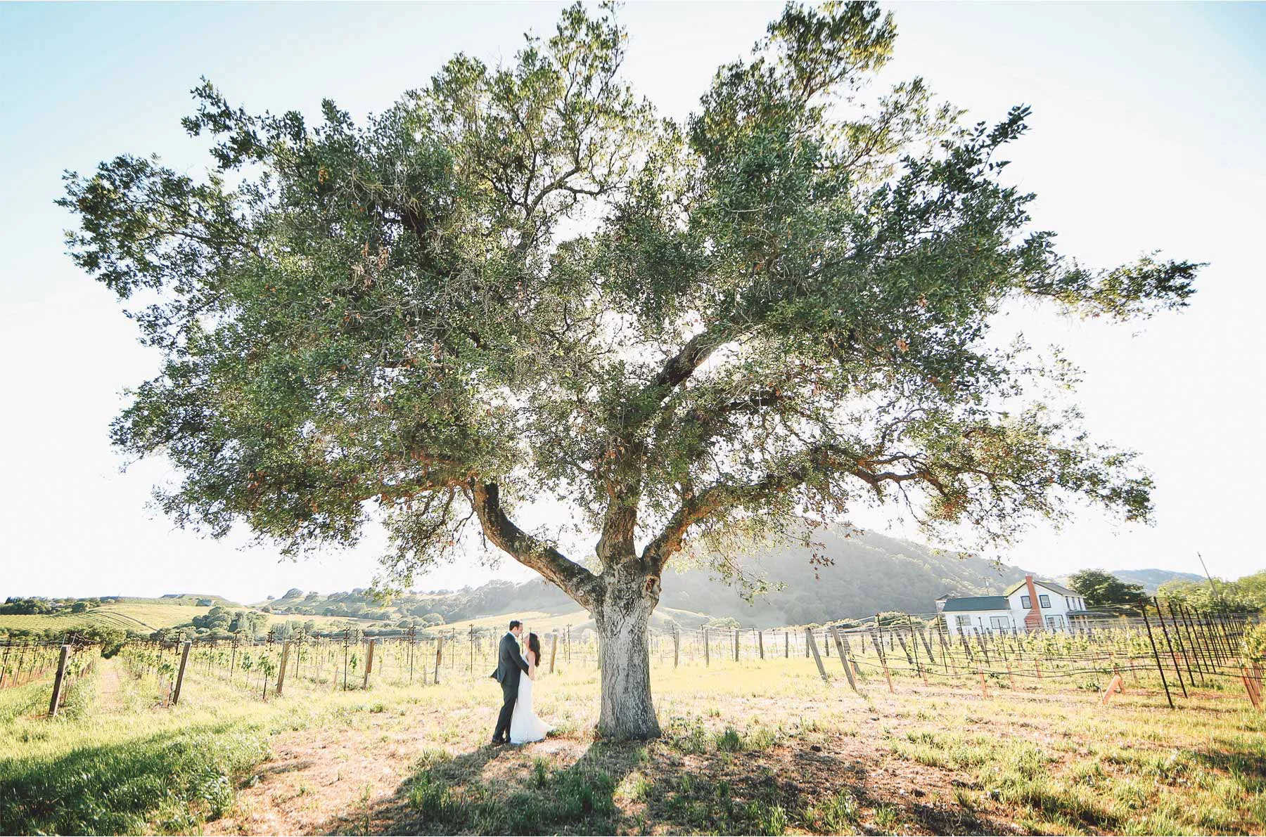21-Napa-California-Wedding-Photographer-by-Andrew-Vick-Photography-Spring-Destination-Carneros-Resort-and-Spa-Bride-Groom-Vineyard-Winery-Vintage-Alex-and-Roger.jpg