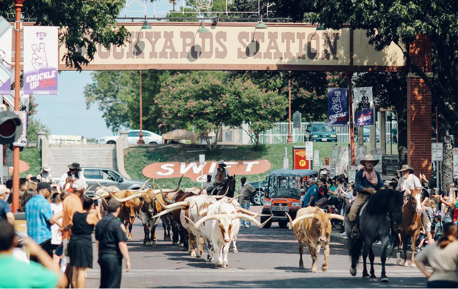 01-Fly-to-Me-Destination-Engagement-Session-Vick-Photography-Fort-Worth-Texas-Longhorn-Cattle-Maggie-and-Matt.jpg