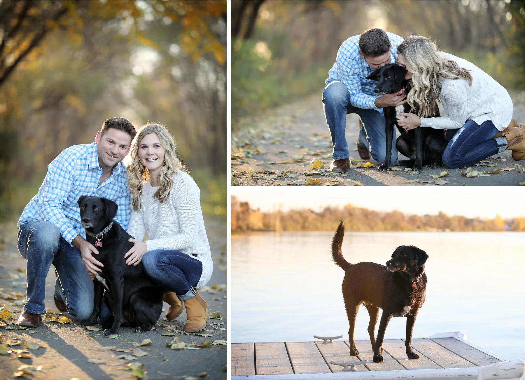 11-Vick-Photography-Destination-Engagement-Session-Autumn-Fall-Leafs-Dog-Katie-and-Bob.jpg
