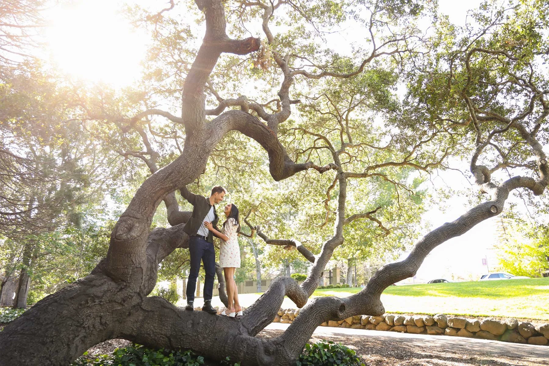 San Francisco Engagement