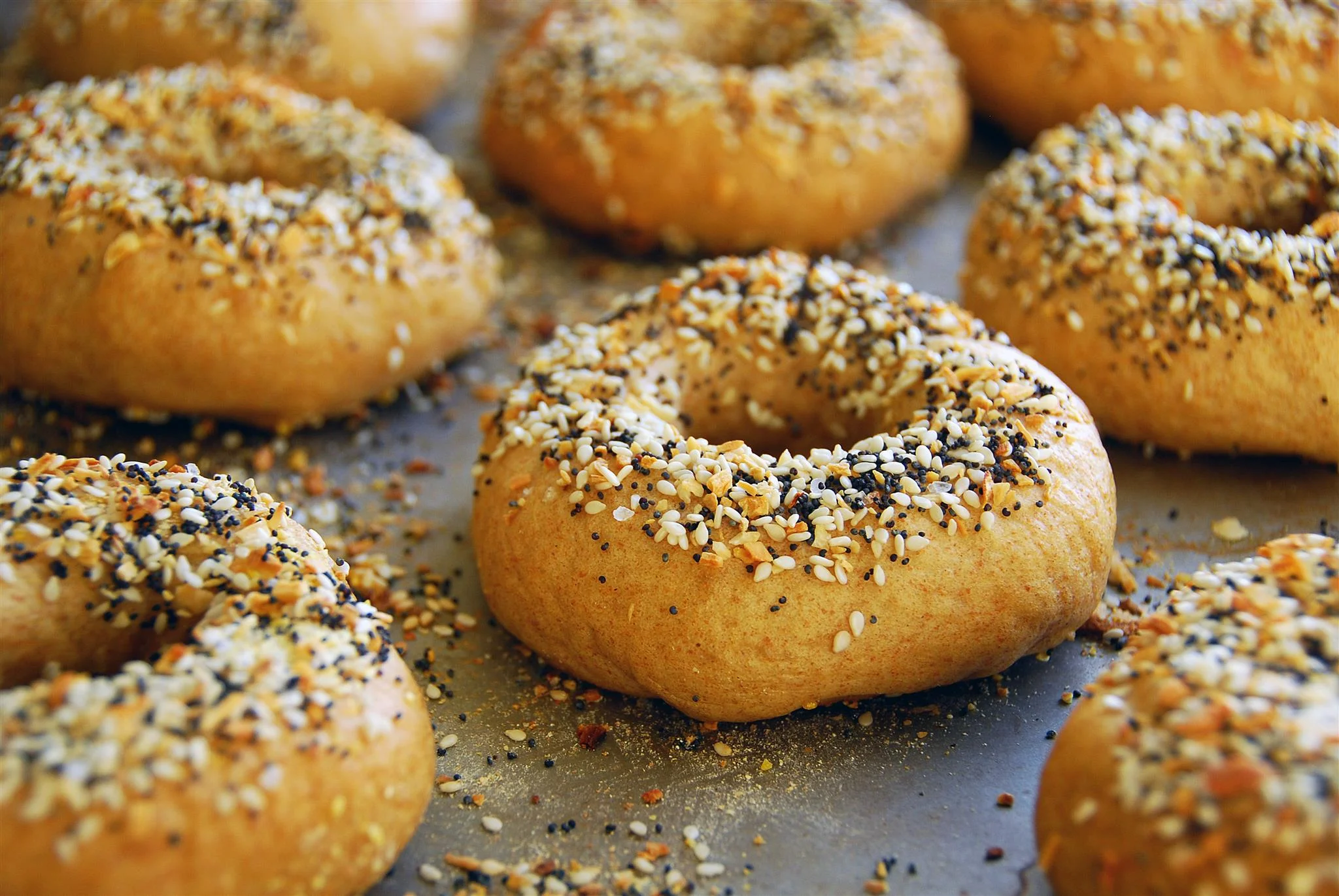 bagel sesame poppy.jpg