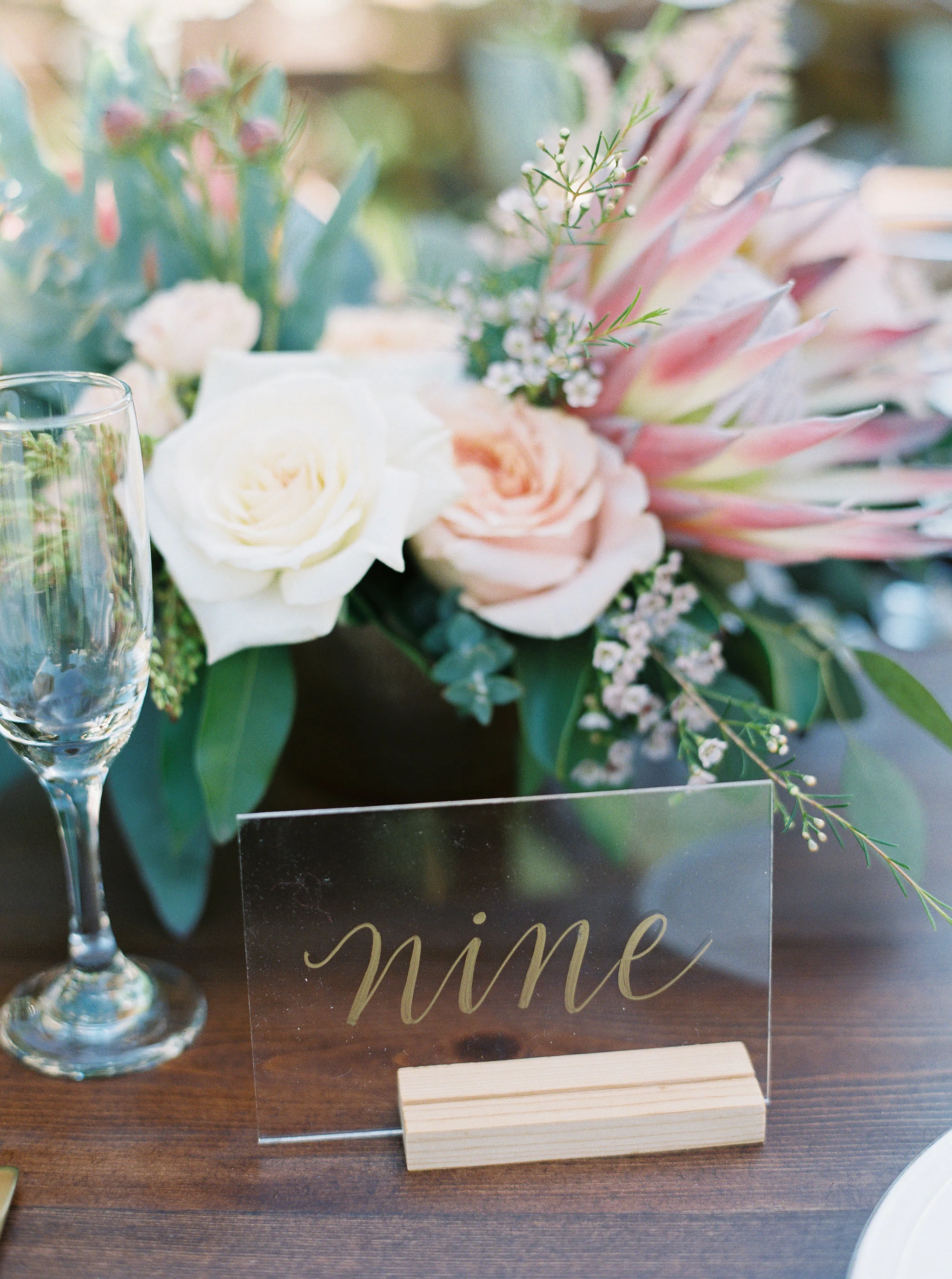 Kristine-Herman-Photography-482.jpg