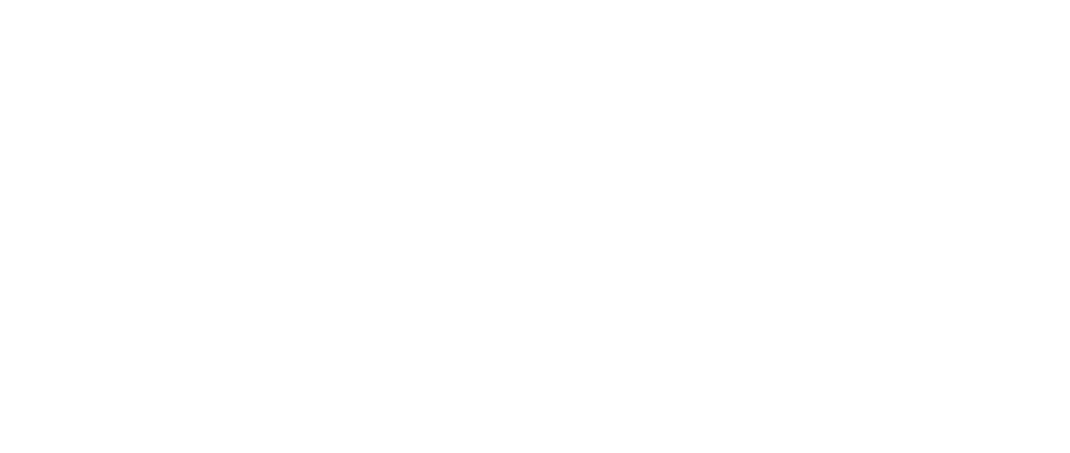 vigilance consulting group