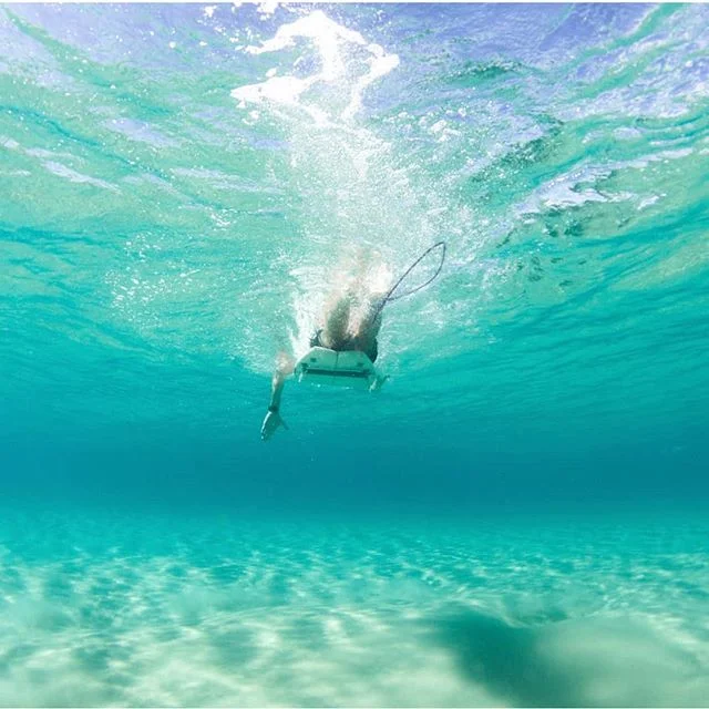 Hows the clarity been up here the past few weeks! @its_slimm_jimm 
#surf #travel #explore #underwater #queensland
#seeaustralia