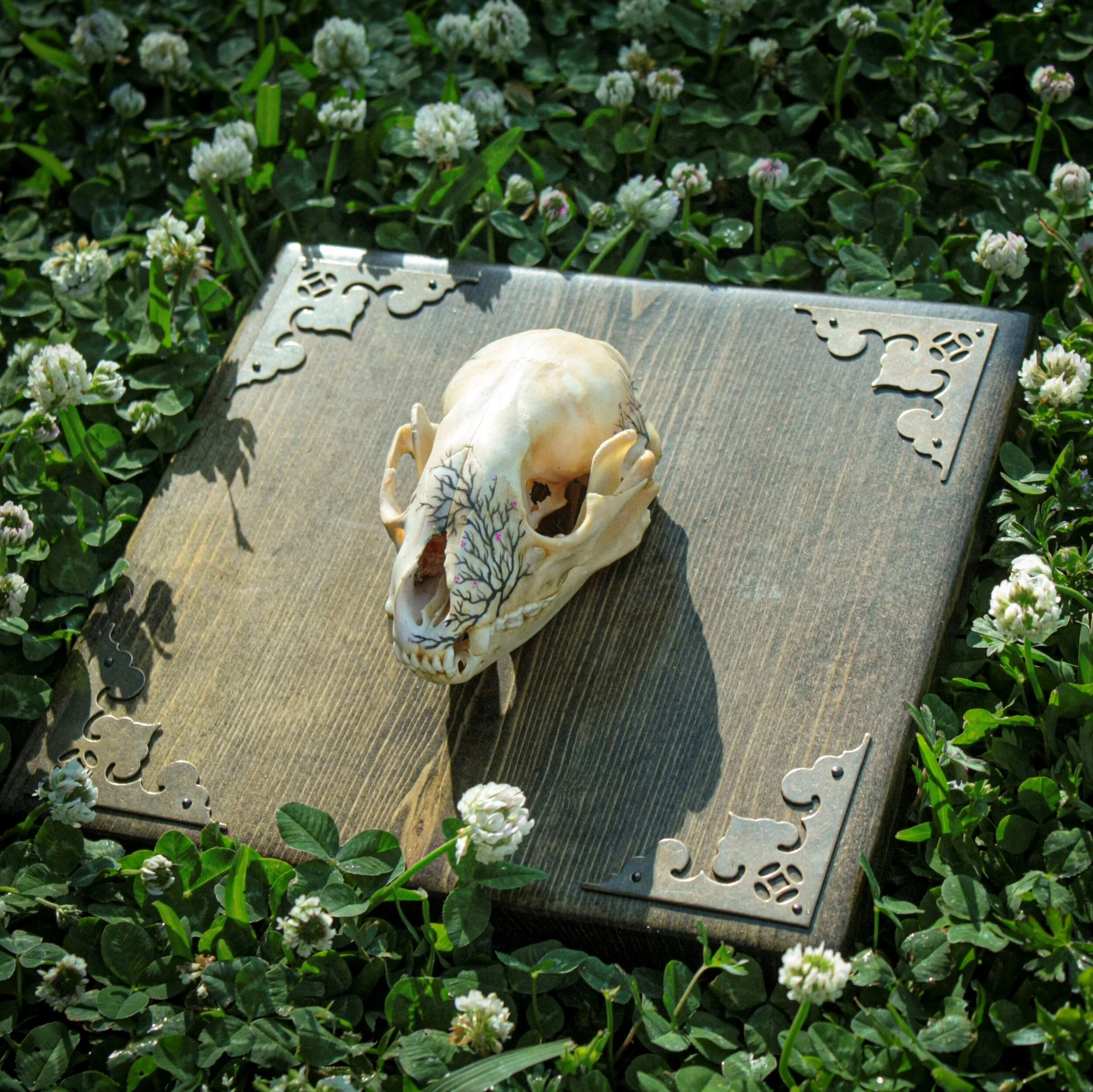 Old Man in Springtime1.jpg