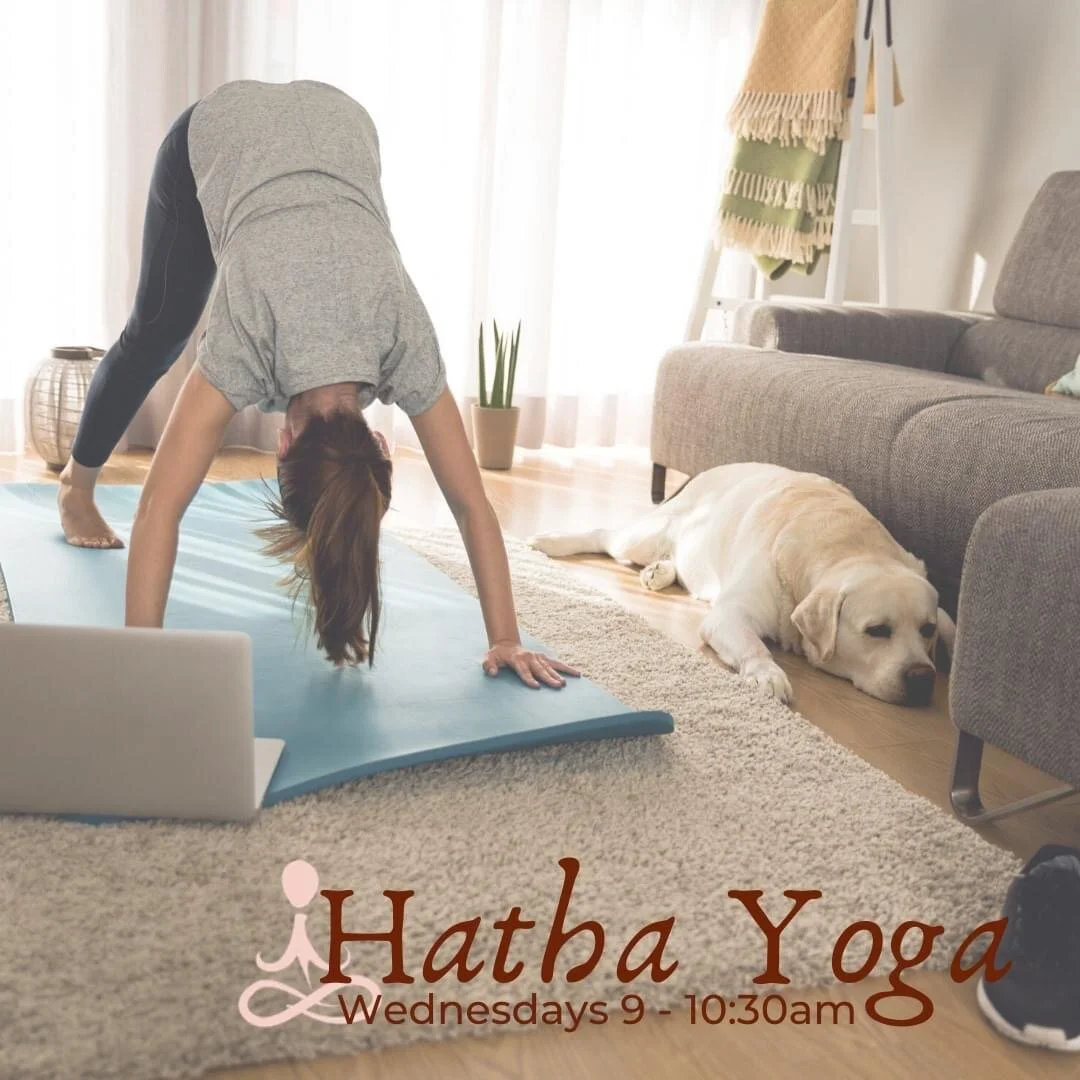 BA7172CF-388F-4EAF-A2F8-9D29885C9DE6