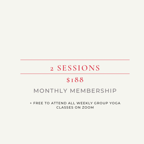 1:1 Session x2 per month