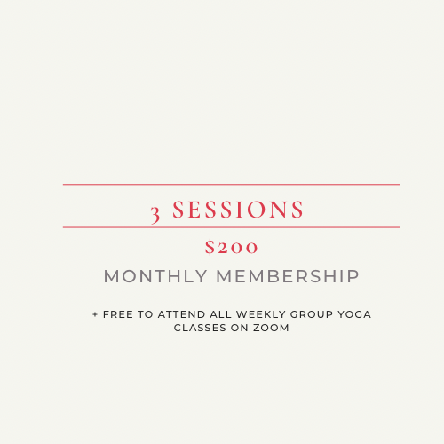1:1 Session x3 per month