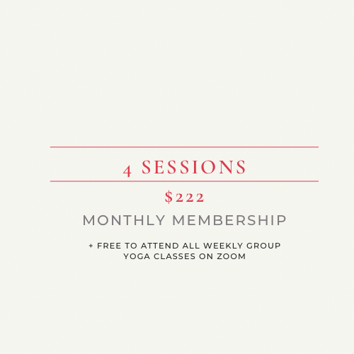 1:1 Session x4 per month