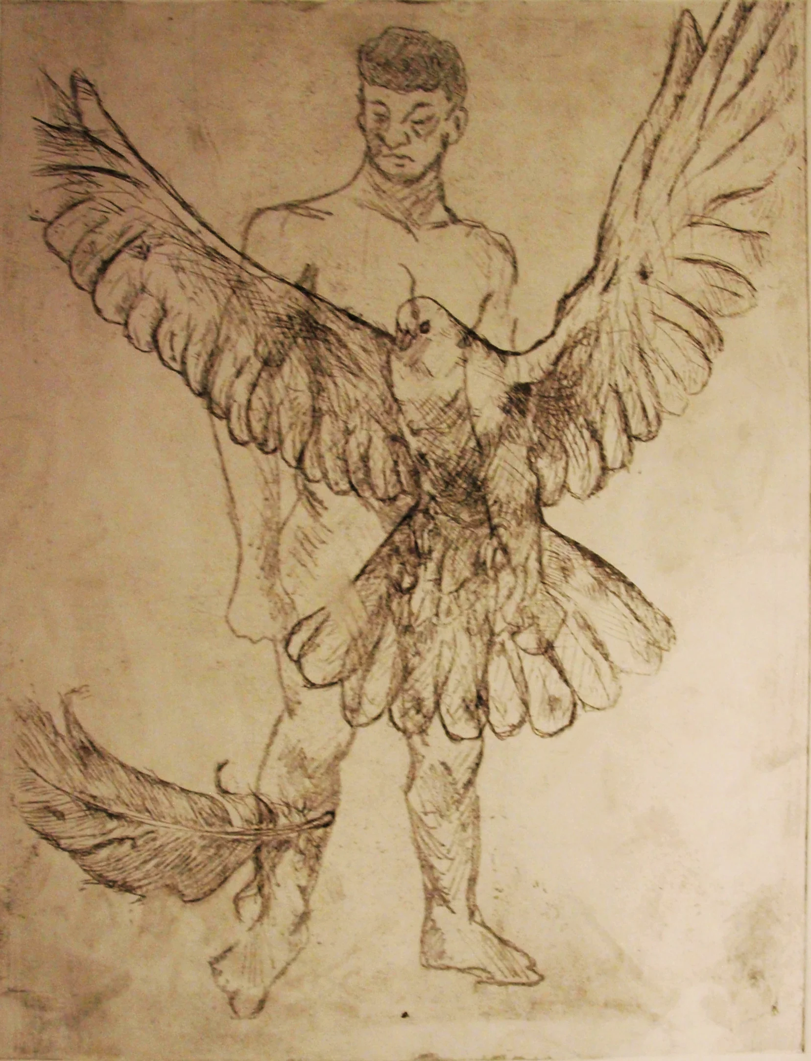 birdman.jpg