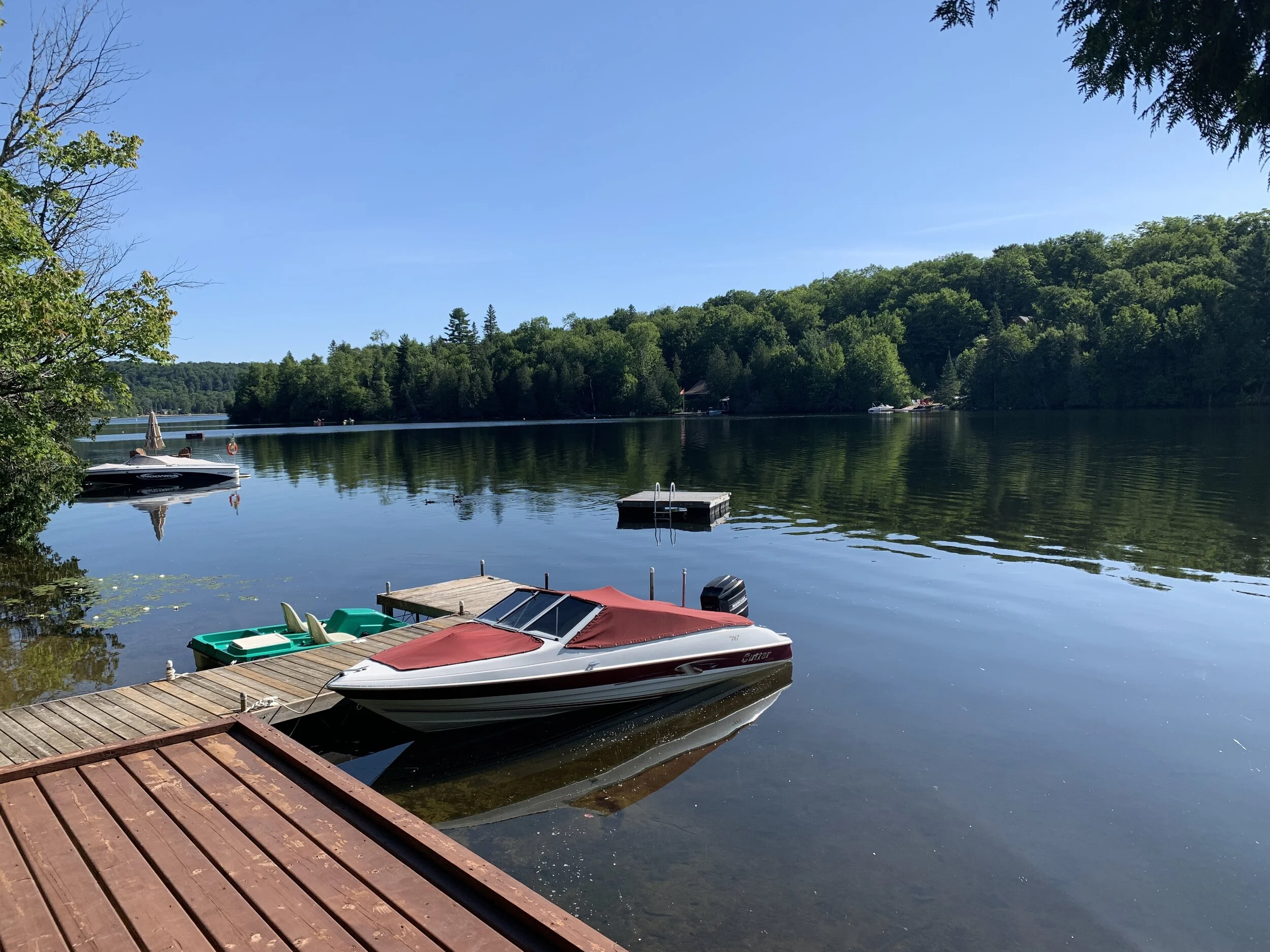 Oxbow Lake — Woodsides Real Estate