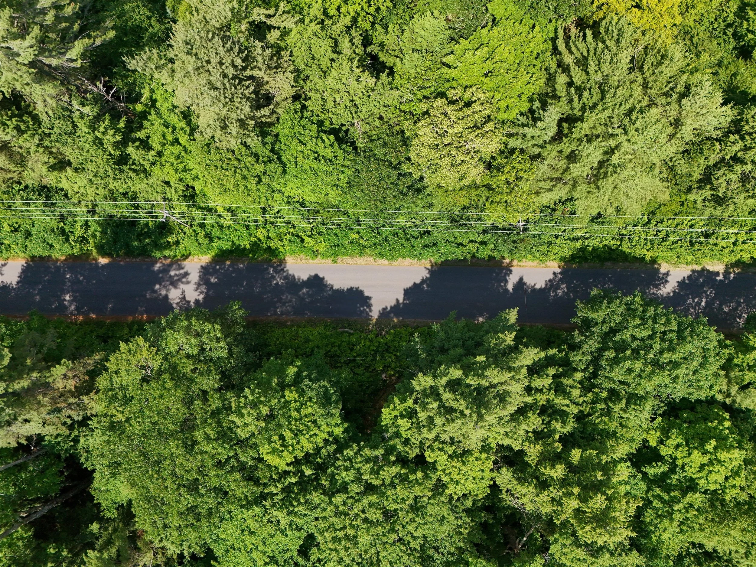 08-DJI_20250712122300_0055_D.jpg