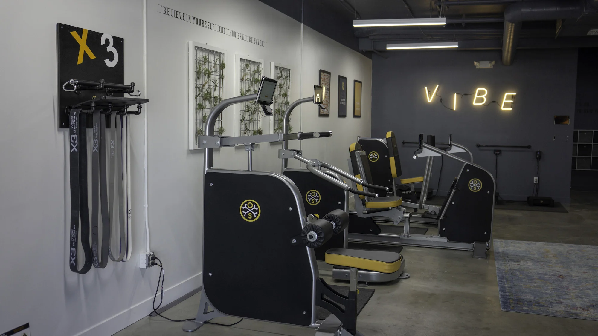 equipment-vibe small.jpeg