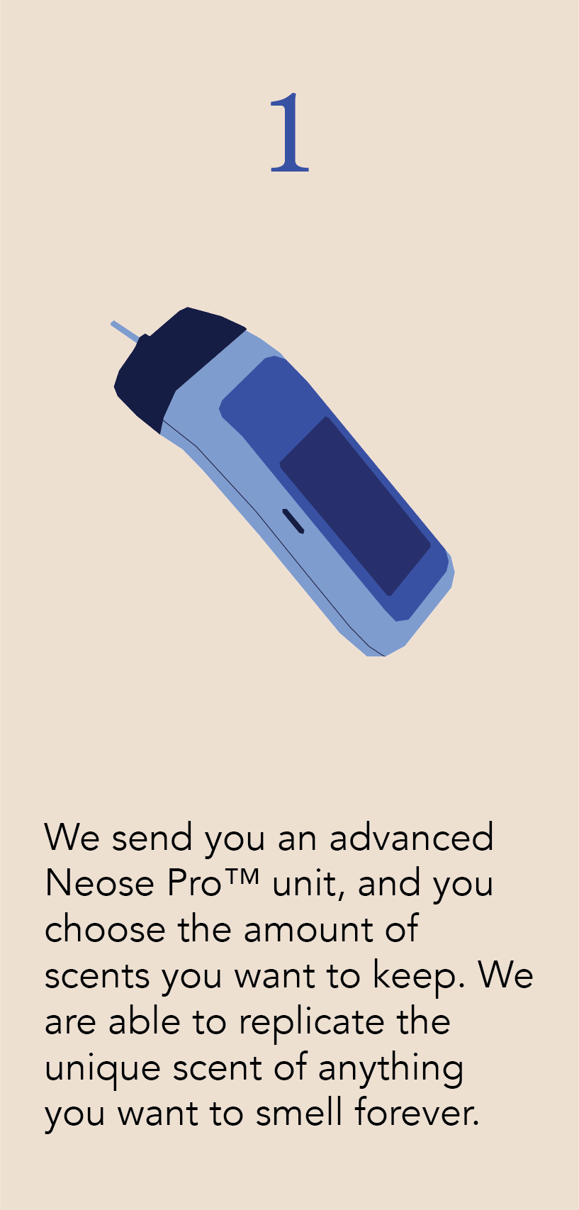 Asset 8@3x.png