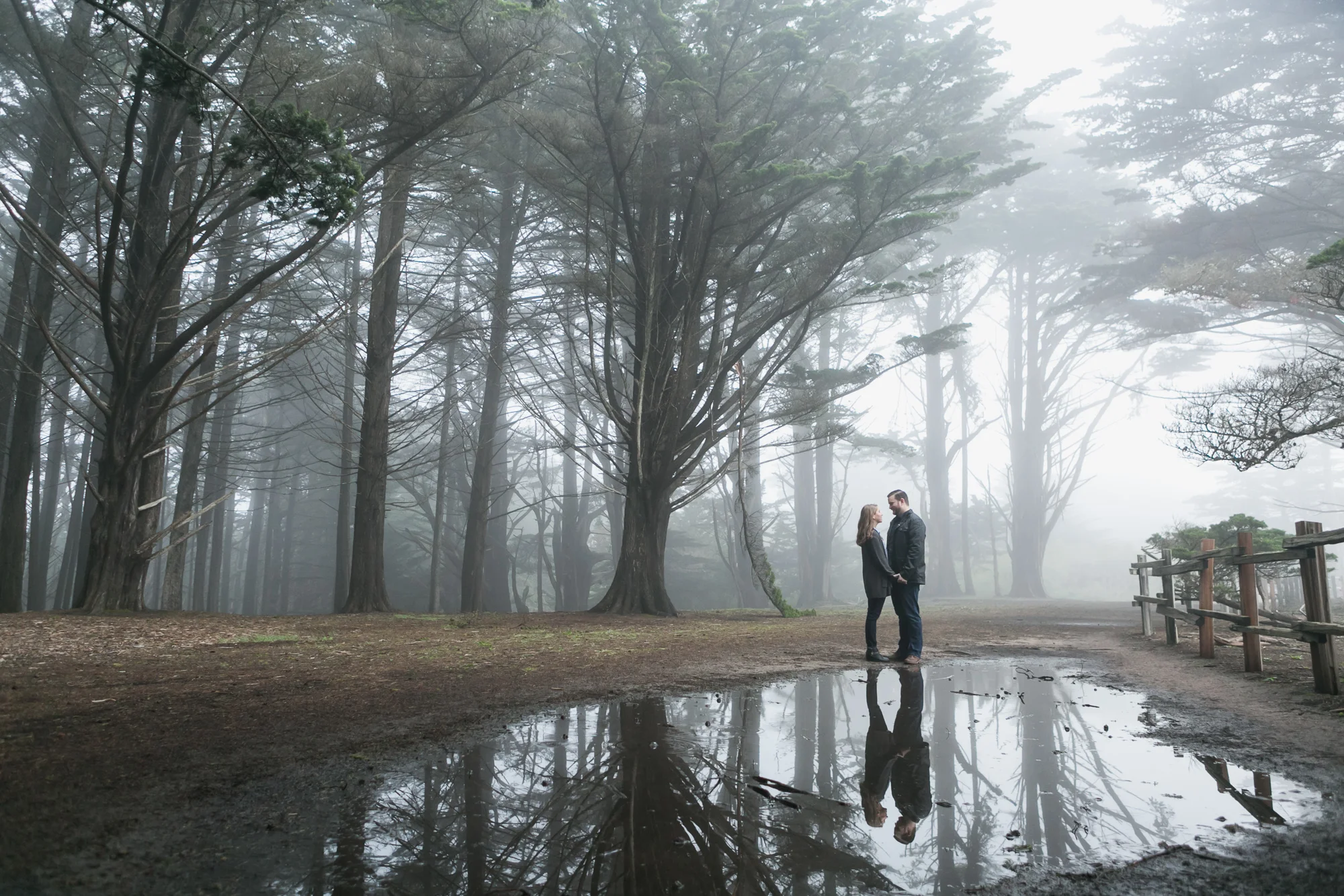 Fitzgerald-Marine-Reserve-Engagement-Reflection-Fog-Moss-Beach.jpg