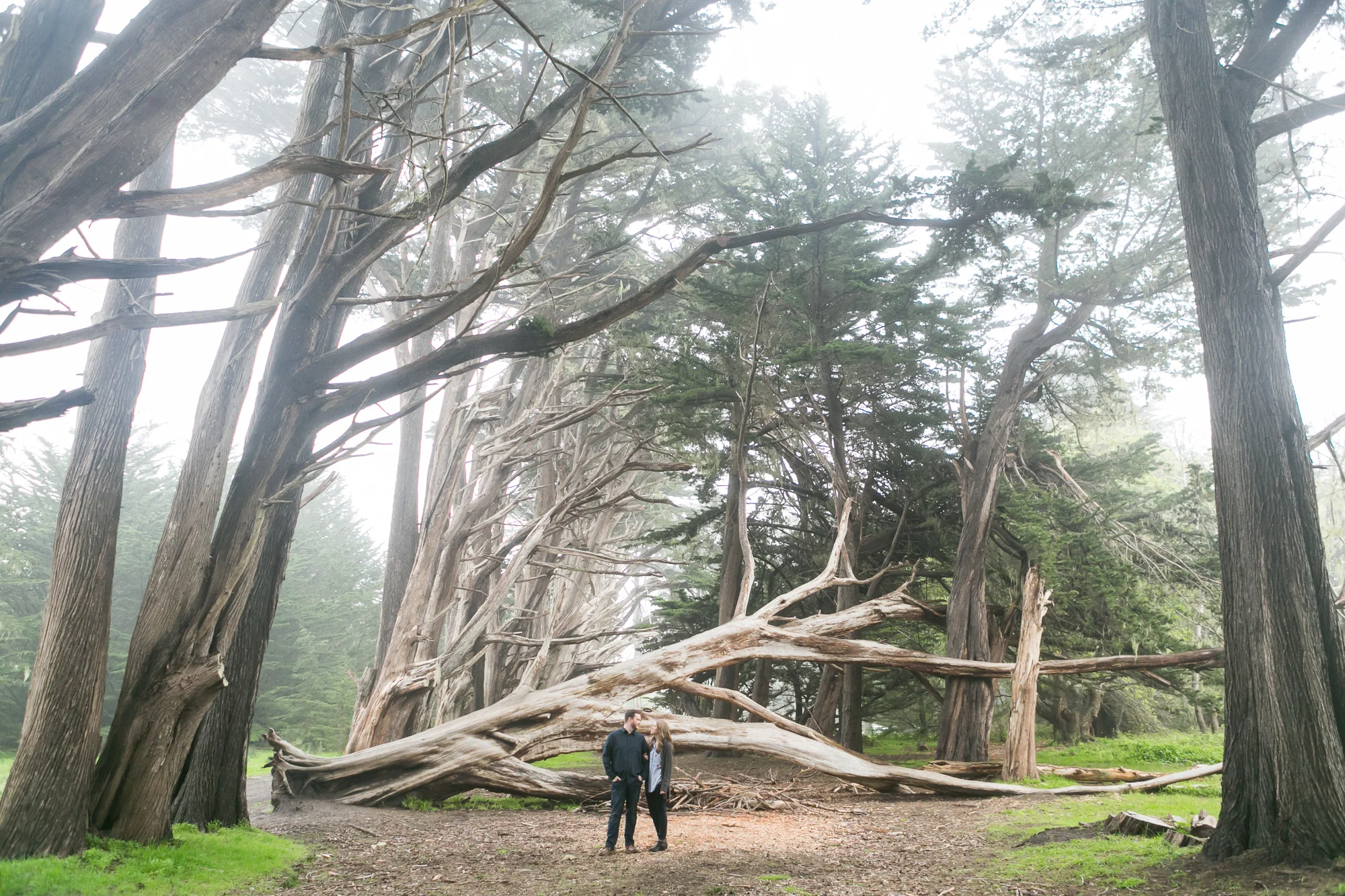 Fitzgerald Marine Reserve Engagement Session Moss Beach Coast