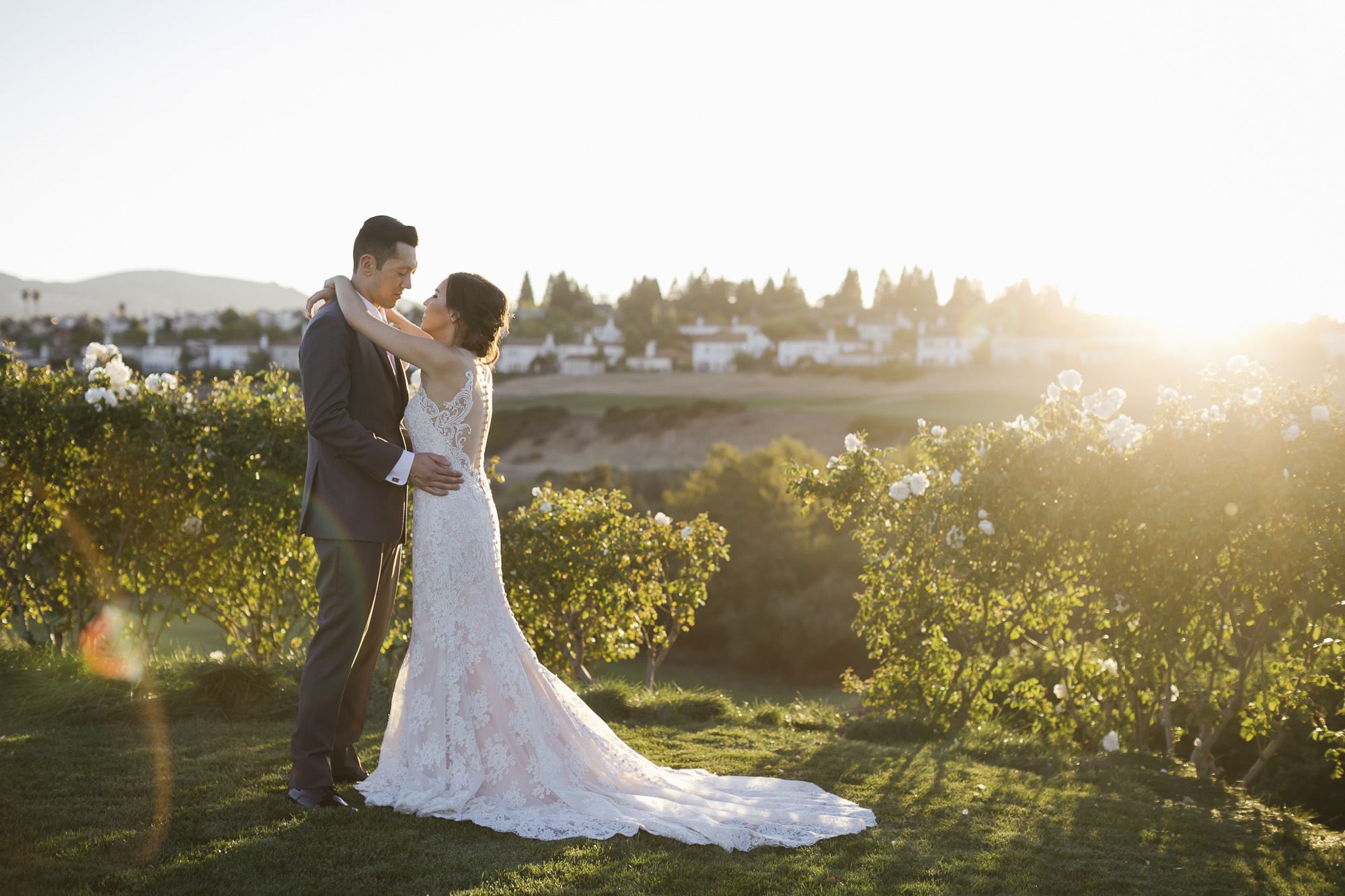 Wedding couple hug at sunset in garden with white roses and a lens flare