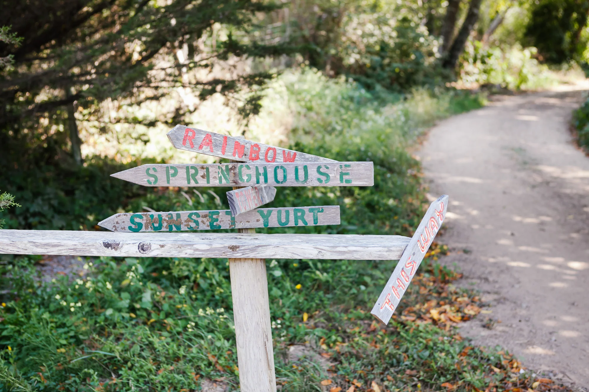 signs pointing to various cabins at oz farm in mendocino area