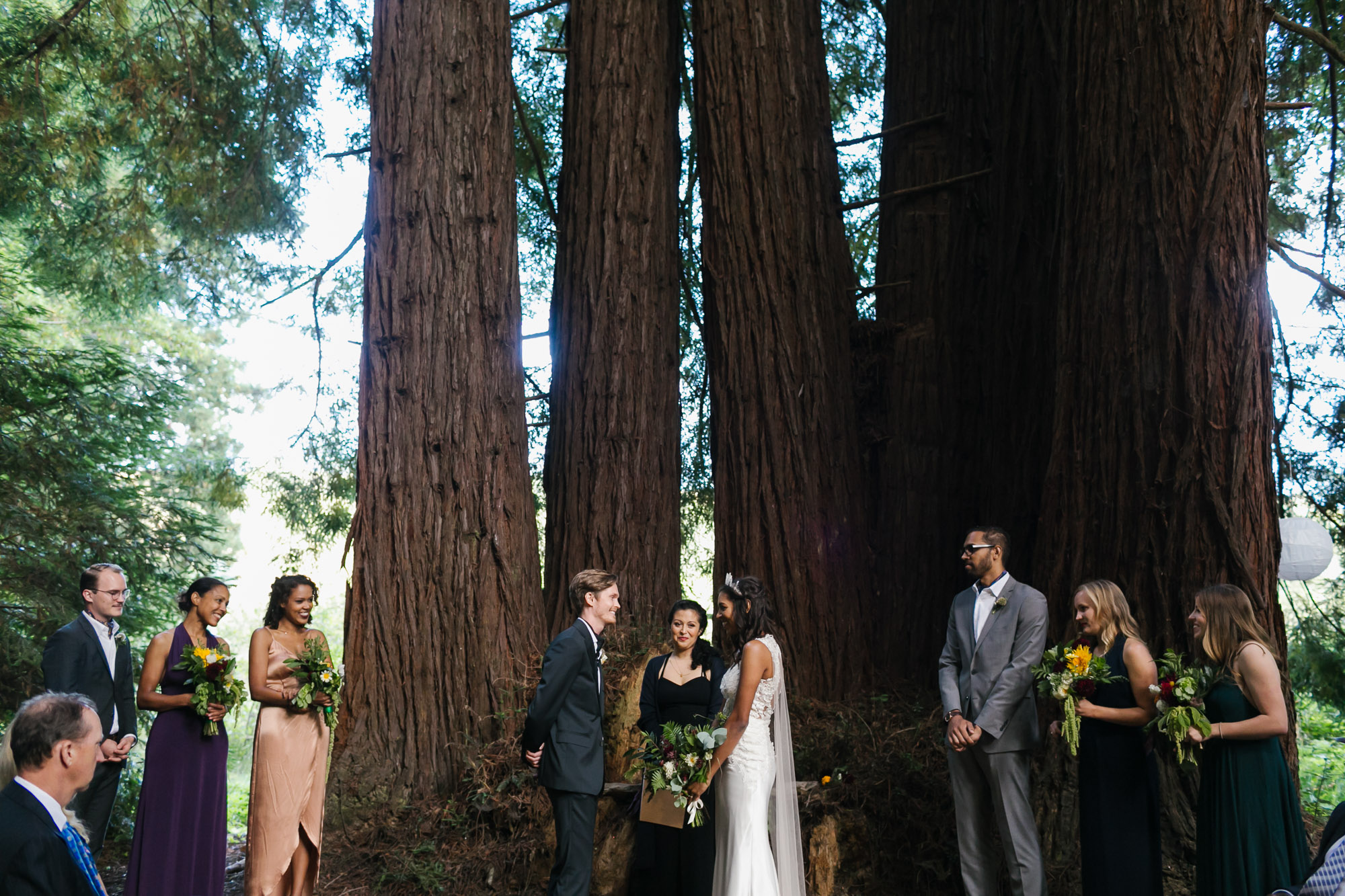 Wedding ceremony under giant redwood trees on a California farm