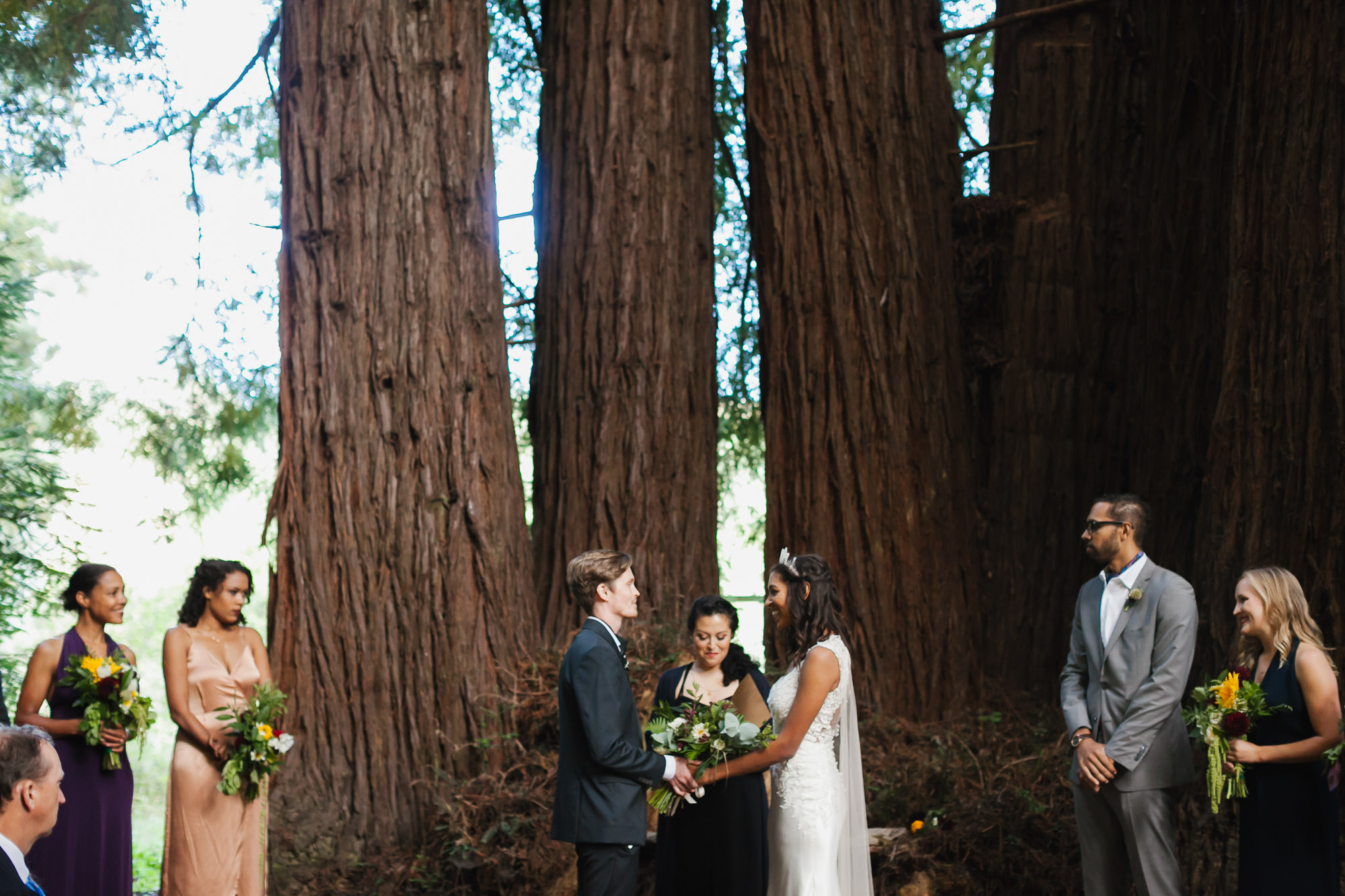 Wedding ceremony under giant redwood trees