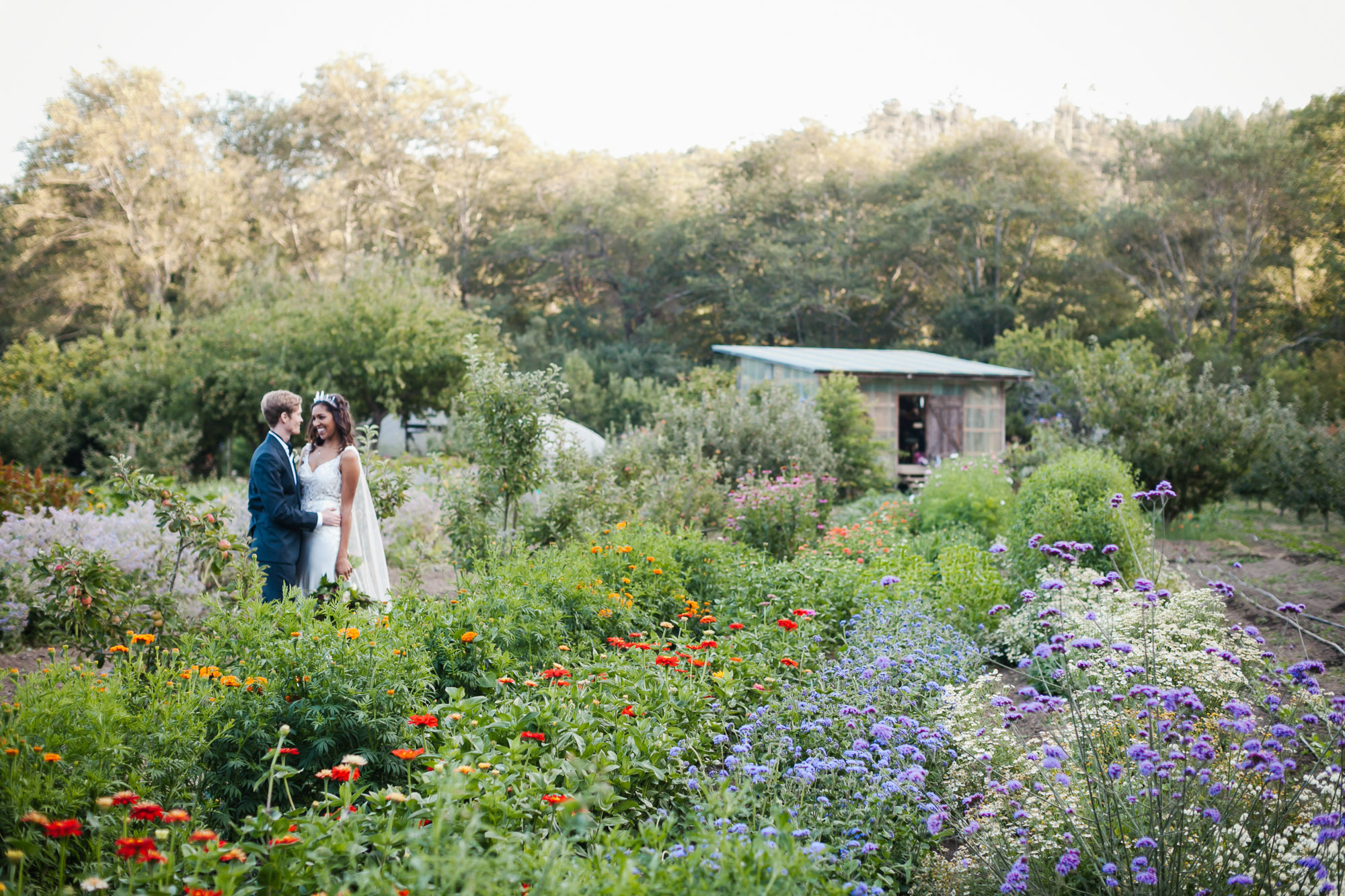 Wedding couple in flower field at coastal farm in Northern California