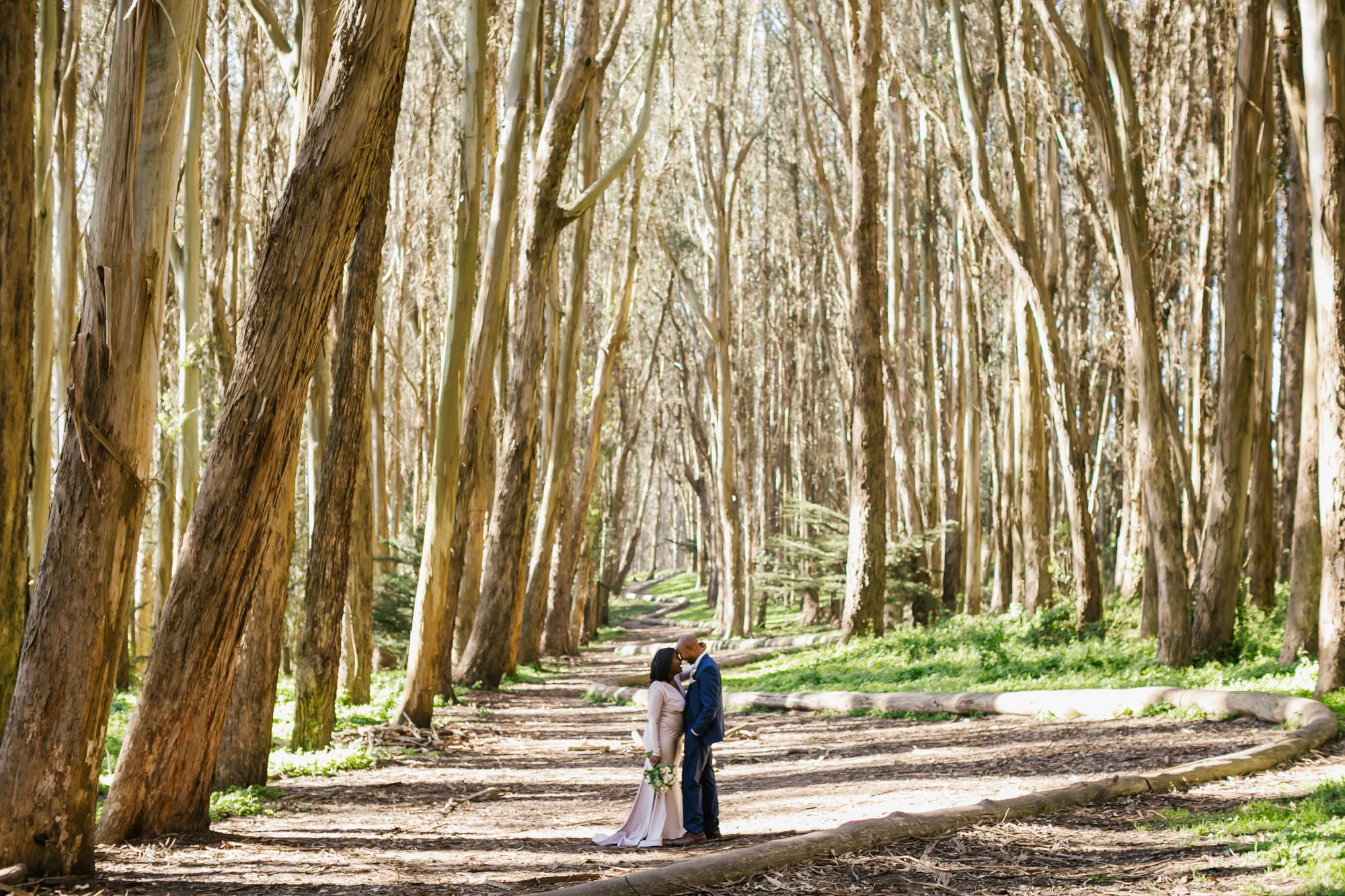 A wedding couple stand together at Wood Line in the Presidio among the eucalyptus trees.