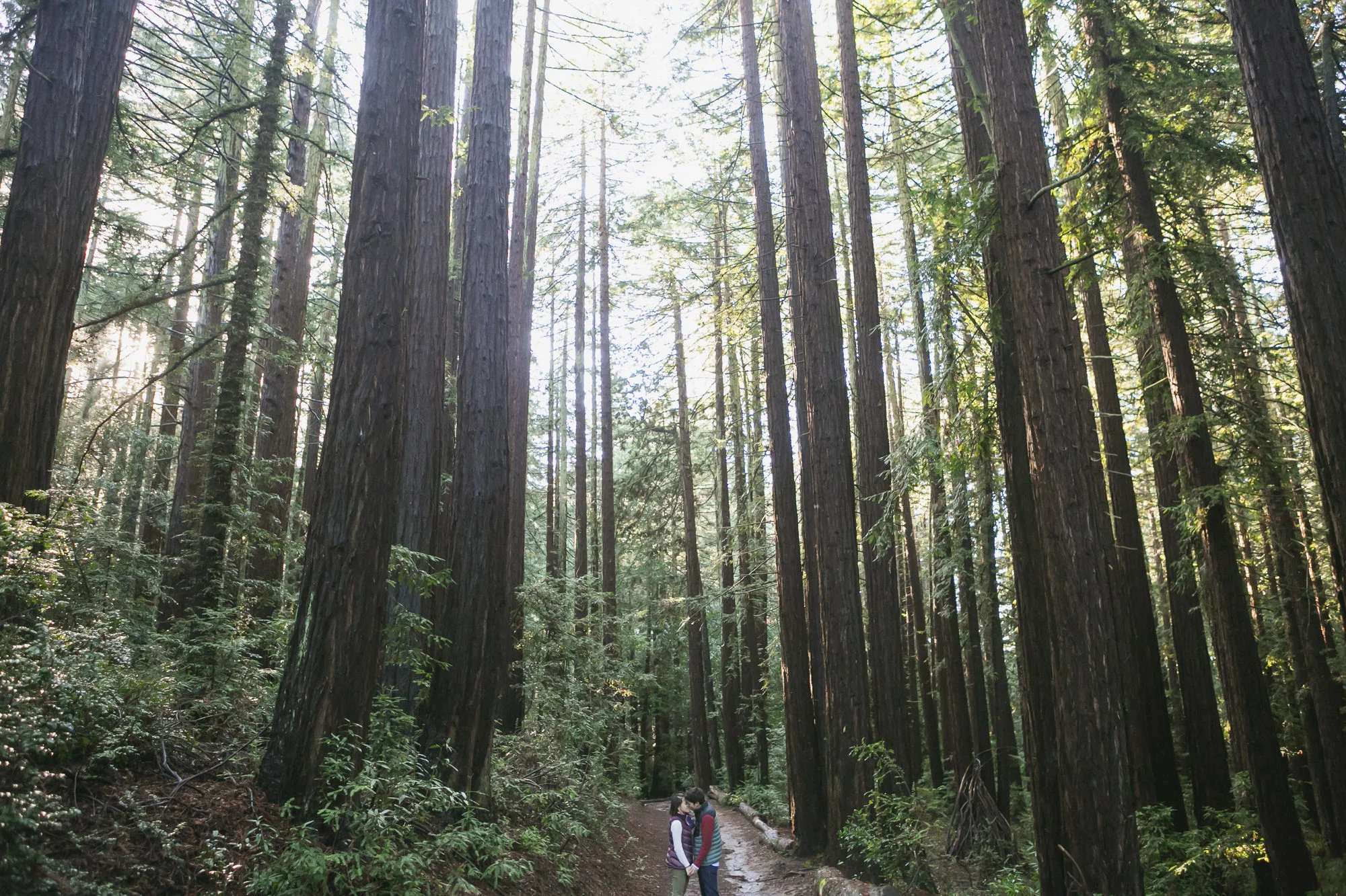 Engagement session in Oakland at the Redwood Regional Park