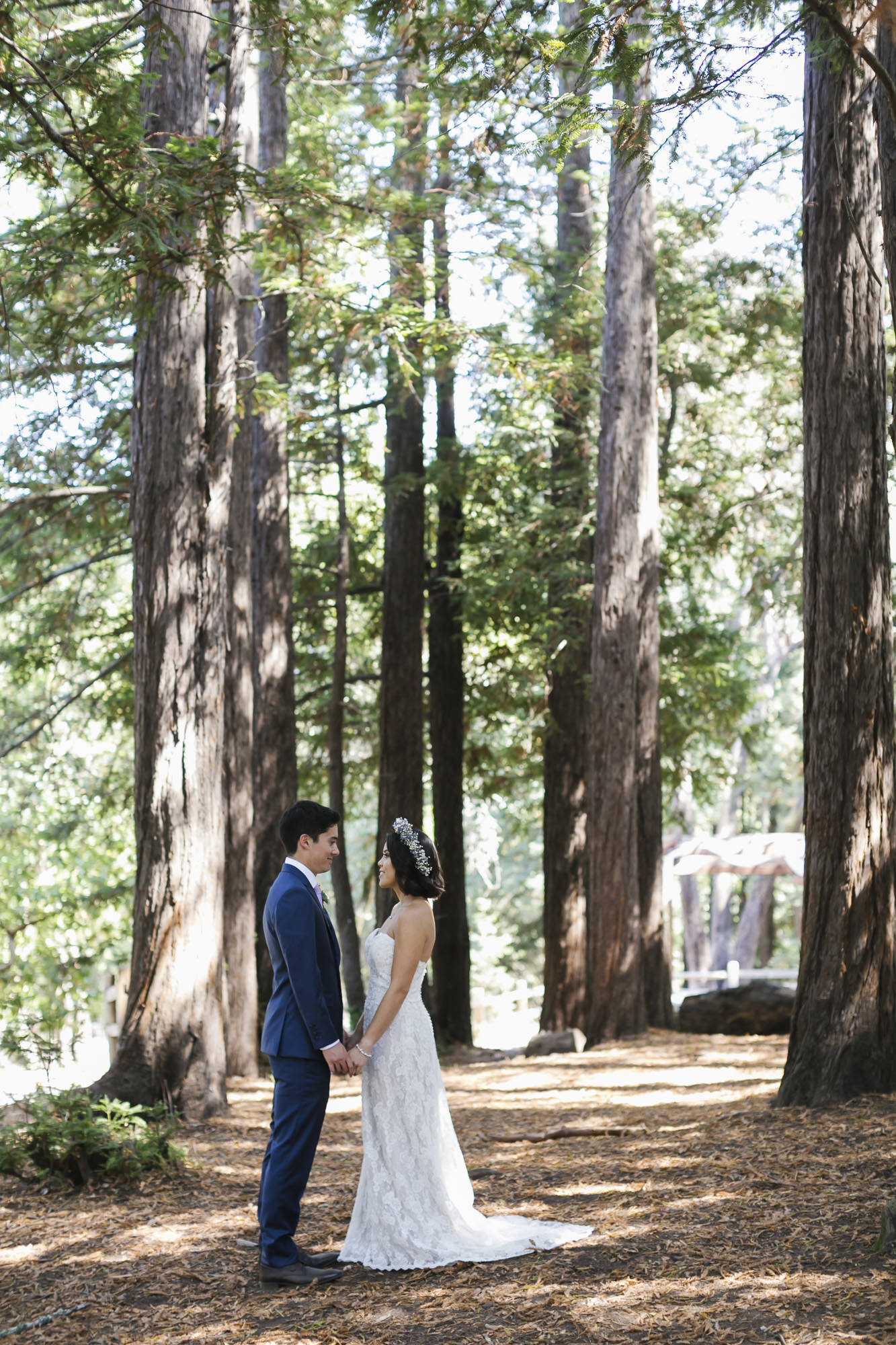 Bride and groom hold hands in a redwood forest