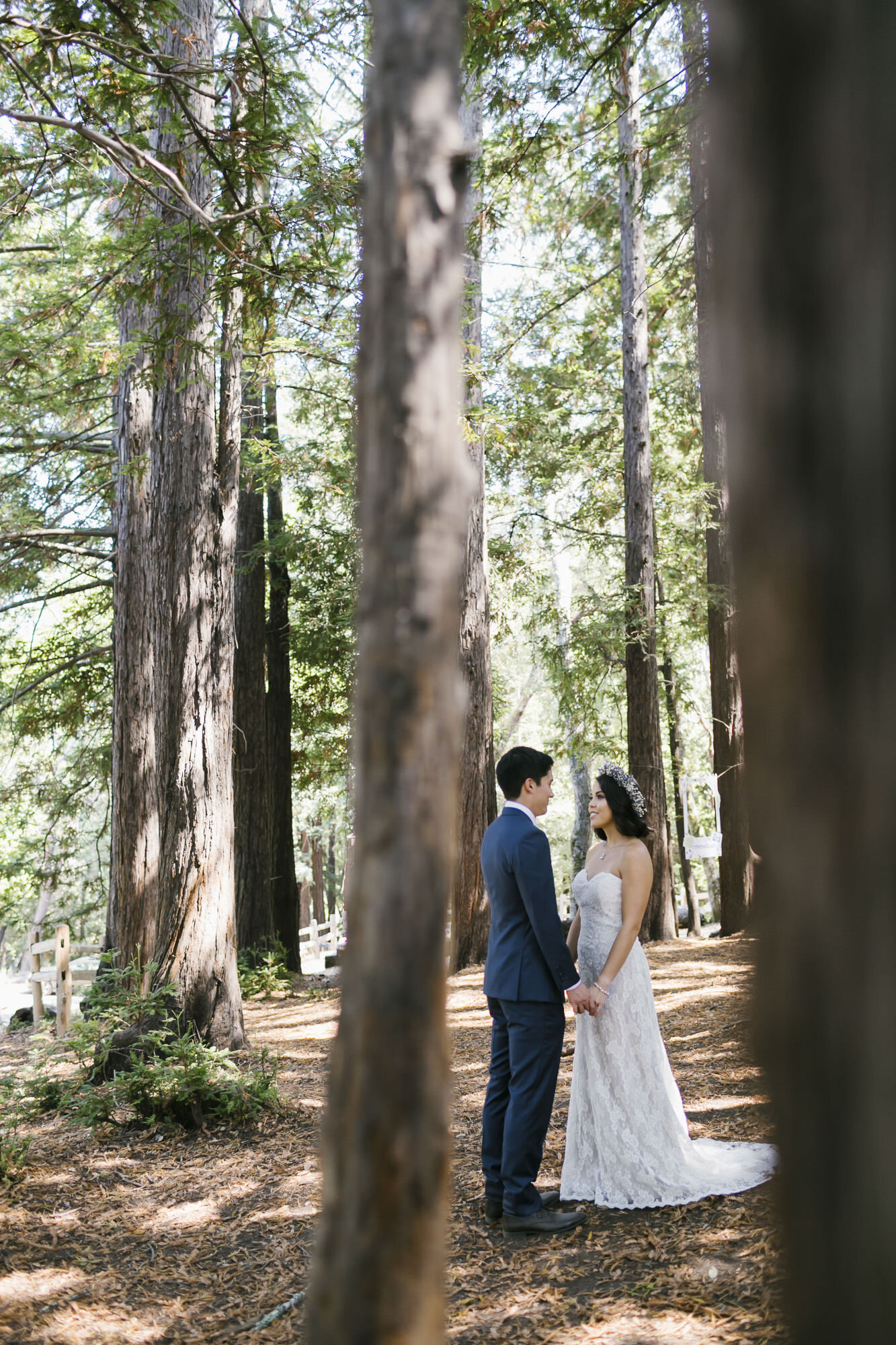 Bride and groom hold hands in a redwood forest