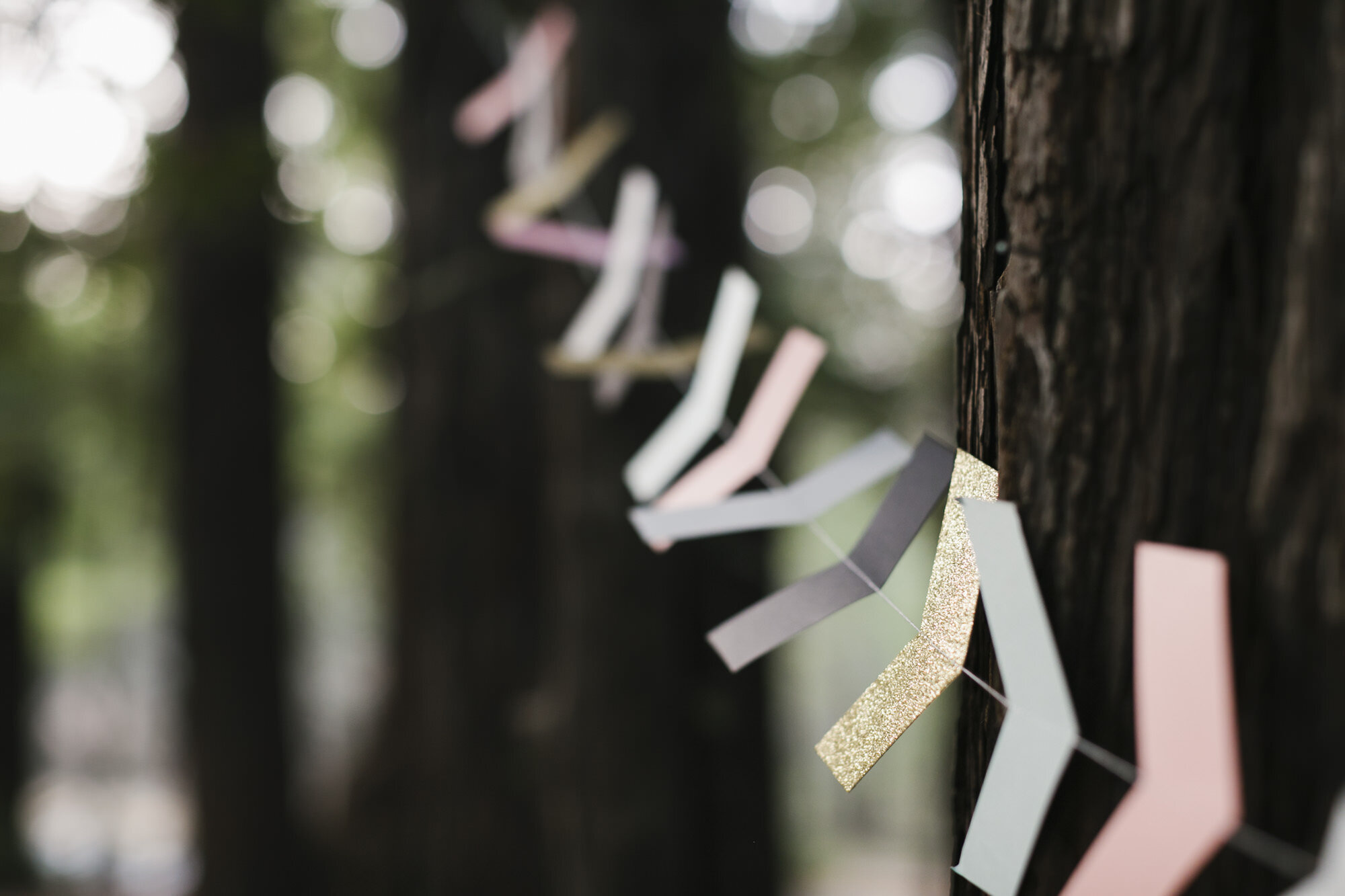 Colorful chevron decorations at picnic wedding