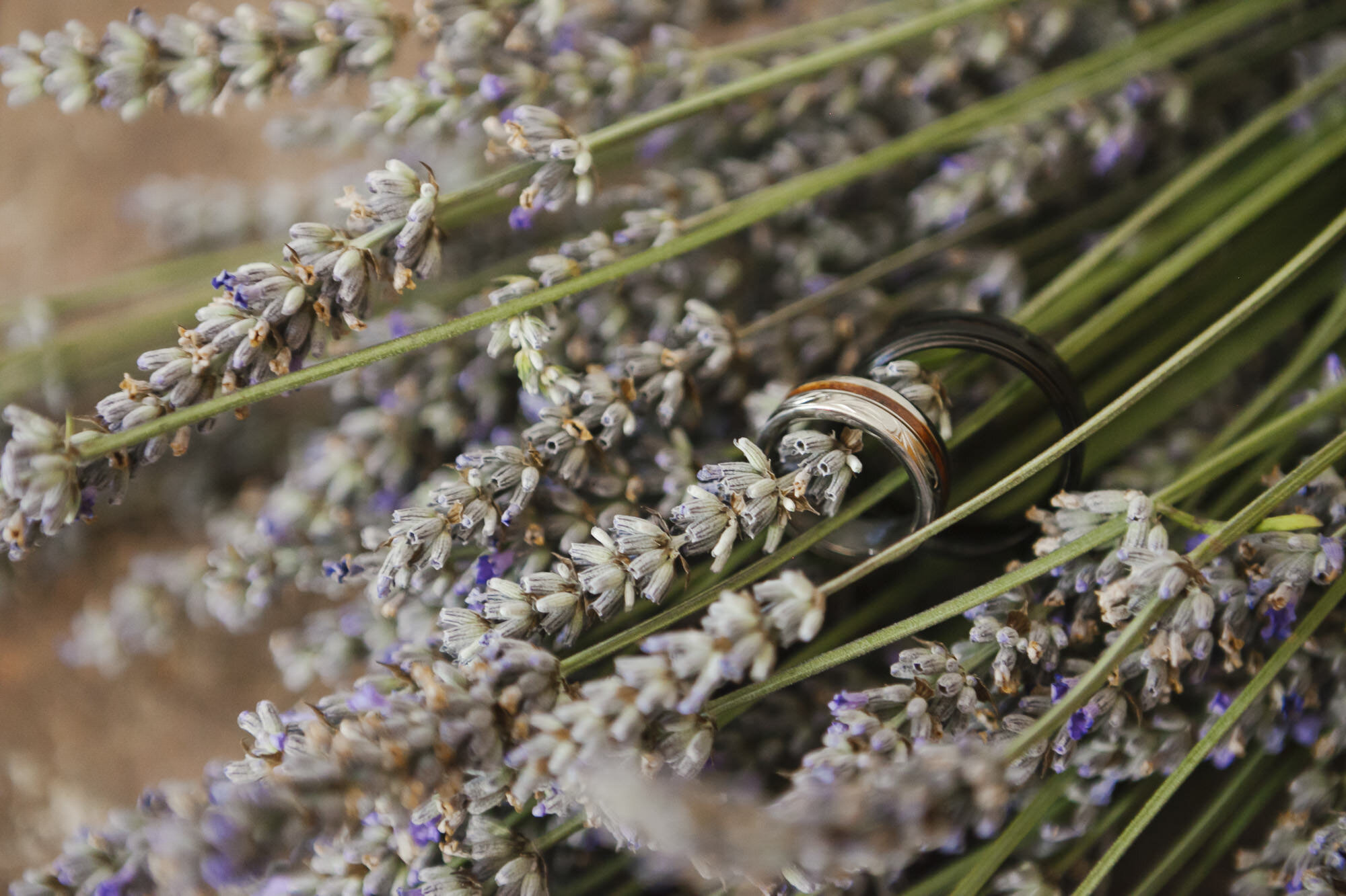 Wedding rings in dried lavender 