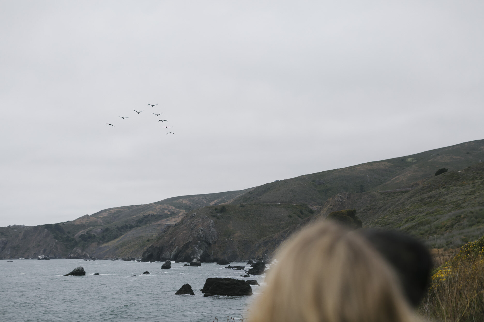 Pelicans flying in a v shape soar overhead on the California coast