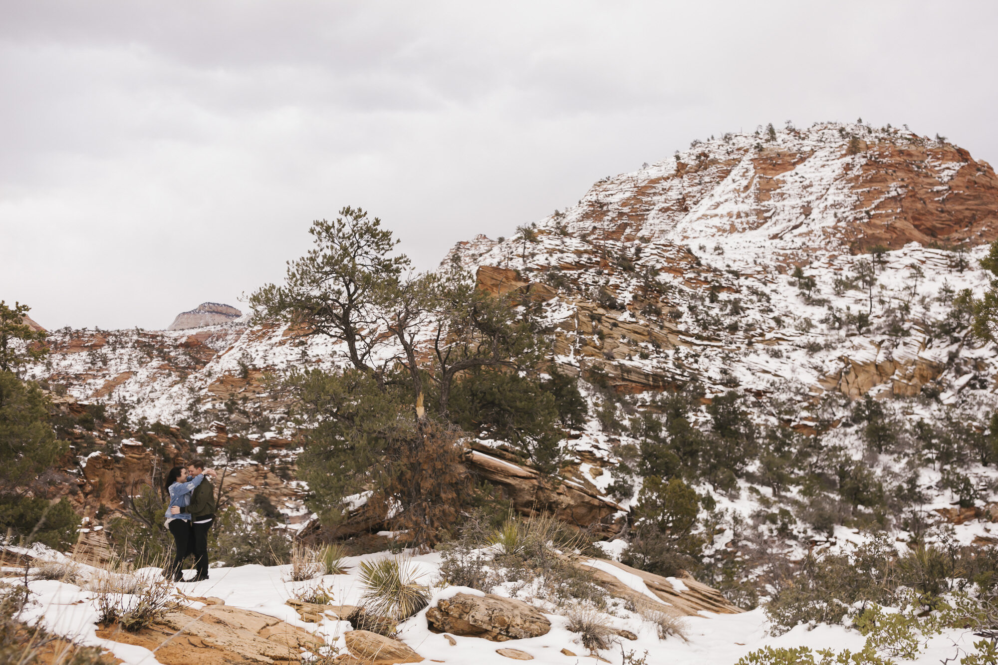 Engagement session in Zion National Park in the winter with snow on the red rocks