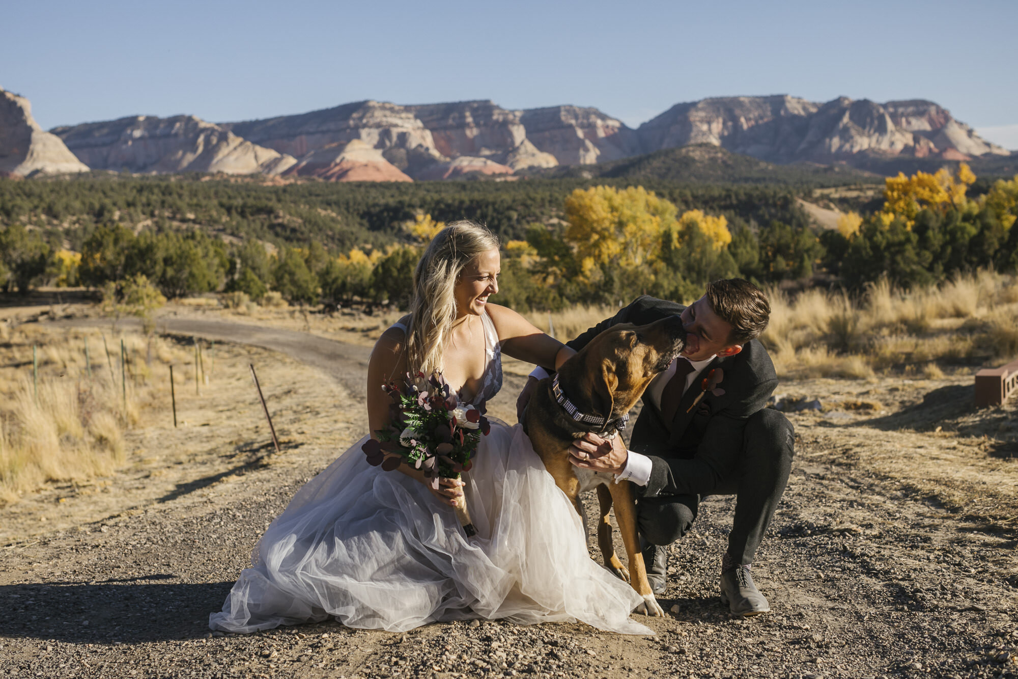 Bride and groom take a portrait with their hound dog (who's kissing his dad) in the Utah desert