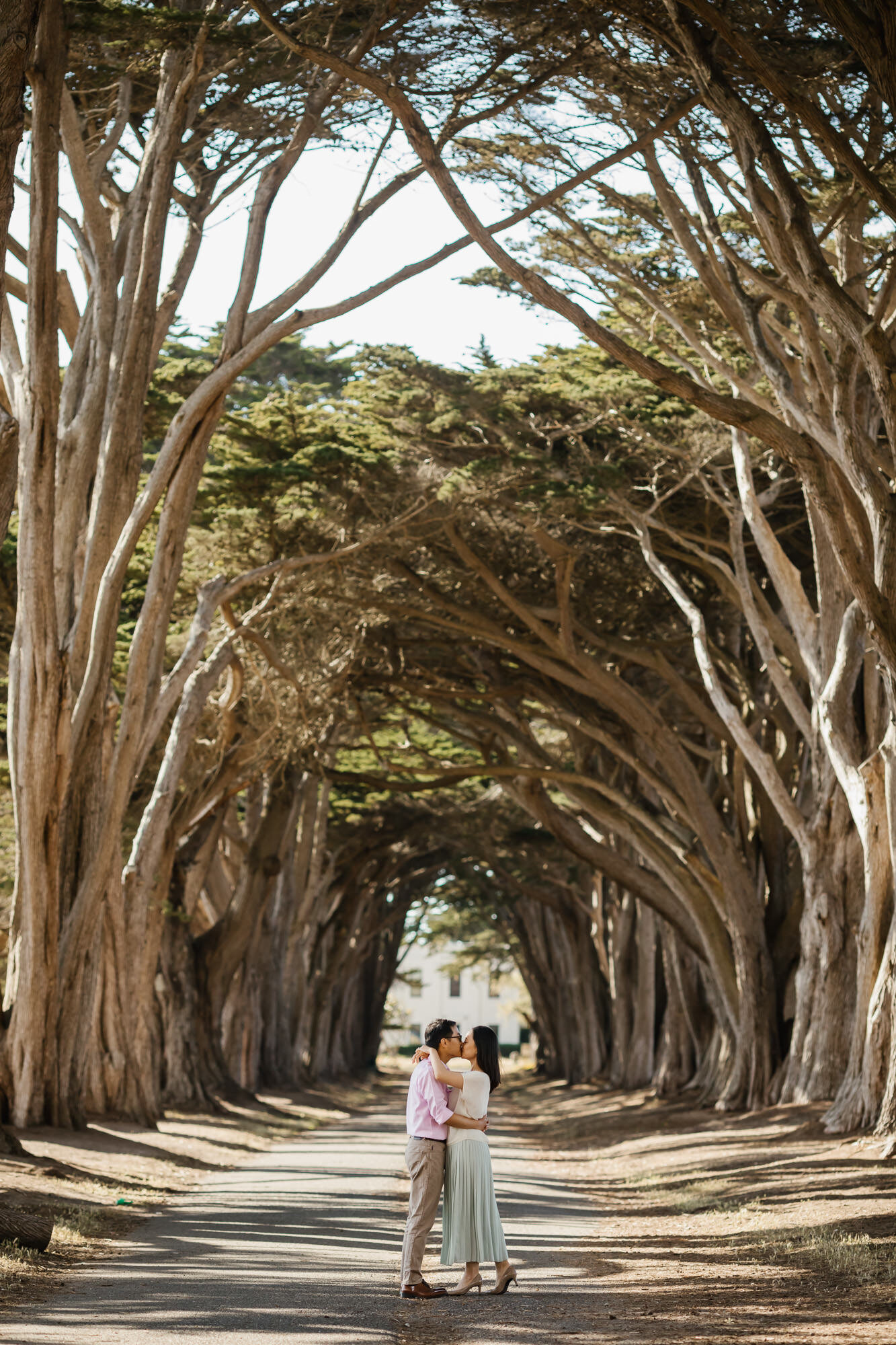 Engagement photos in Point Reyes Cypress Tree Tunnel