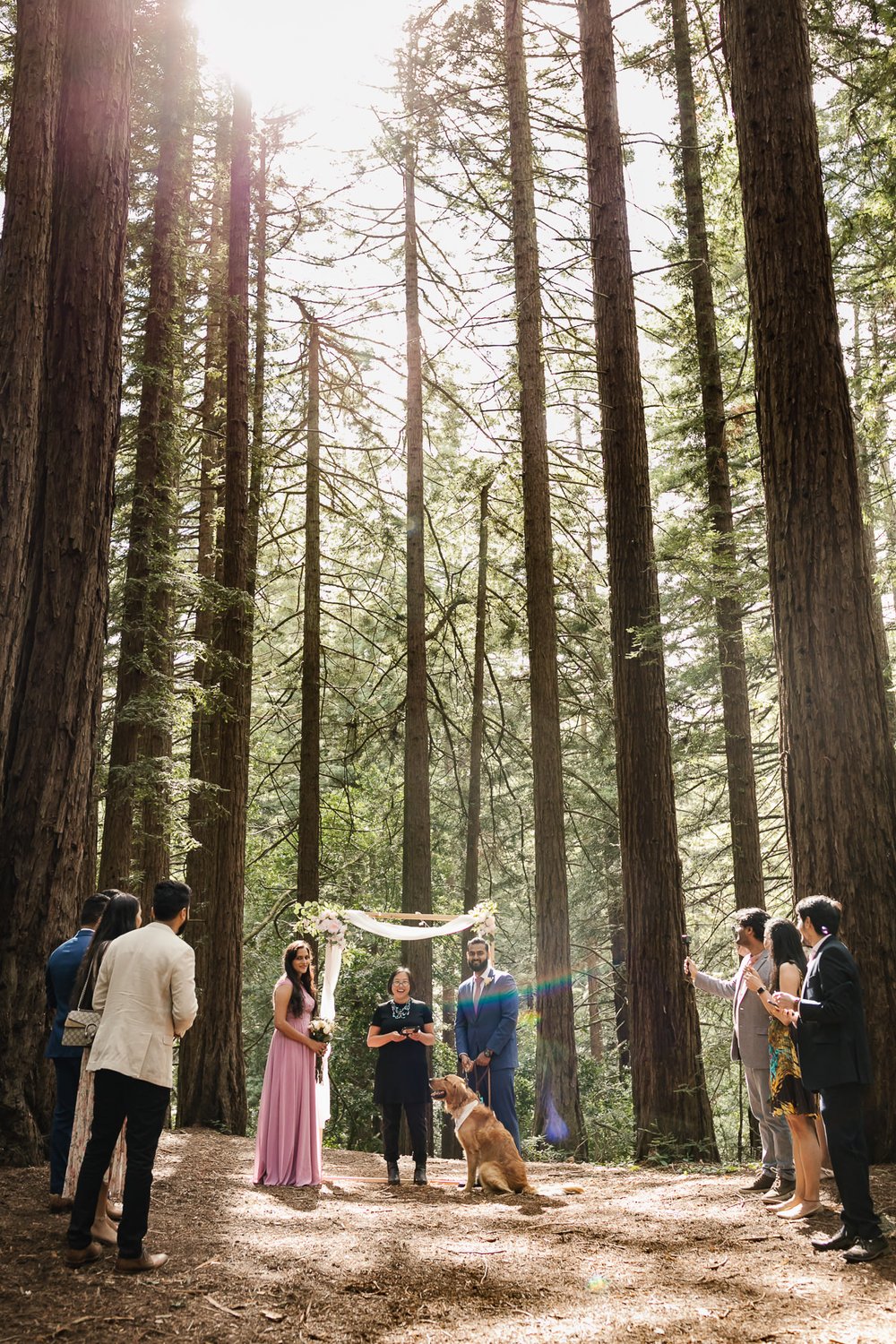 Wedding couple at their redwood forest elopement in Joaquin Miller Park, California