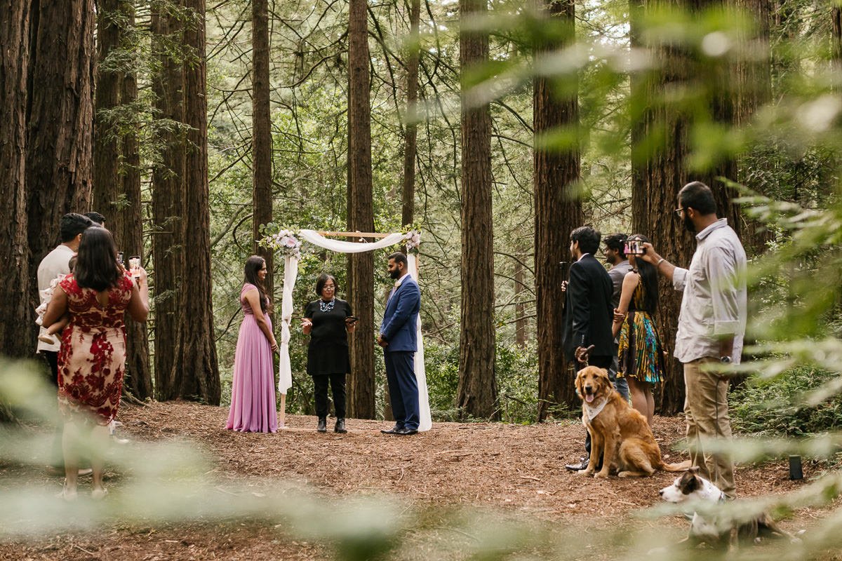Ceremony at redwood forest elopement in Joaquin Miller Park